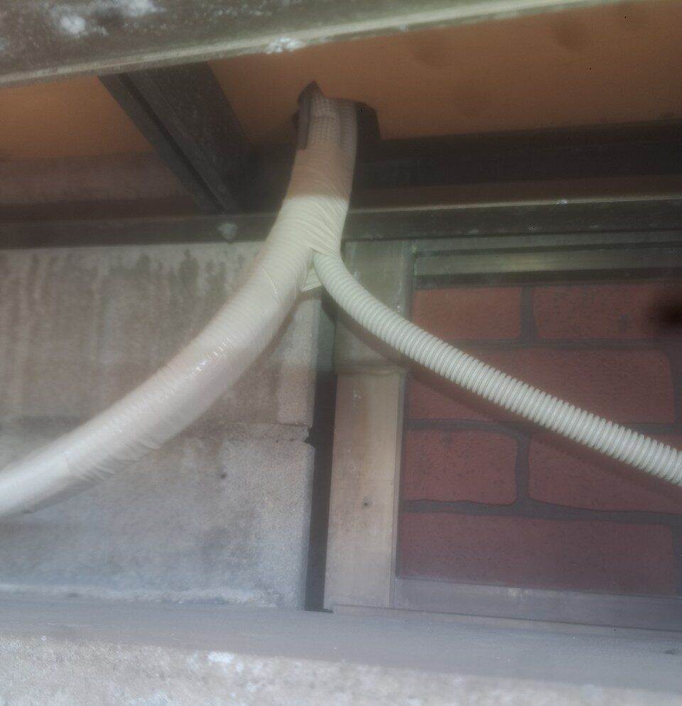 福岡県福岡市　ネズミによる被害　W様邸　駆除実績