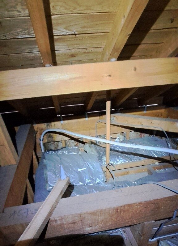 福岡県飯塚市　アライグマによる被害　S様邸　駆除実績