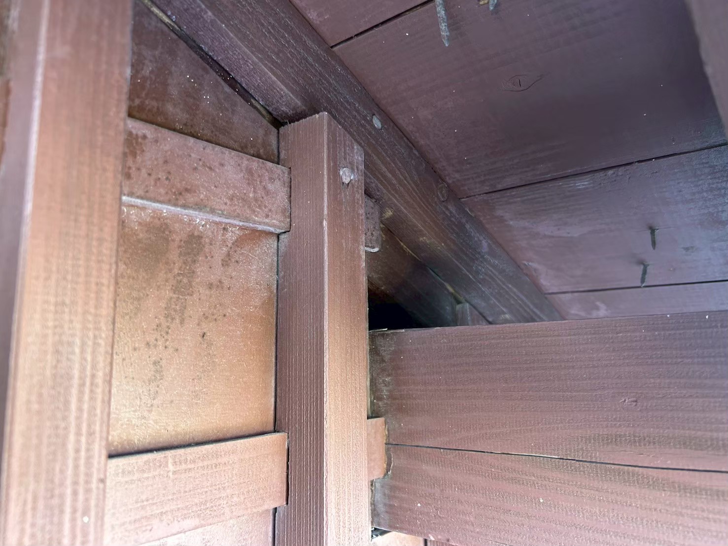 佐賀県神崎市　イタチによる被害　E様邸　駆除実績