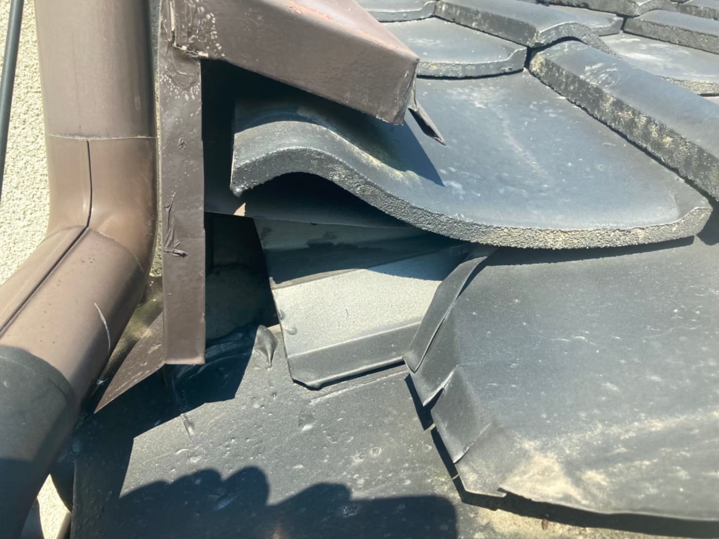 佐賀県武雄市　ネズミによる被害　K様邸　駆除実績