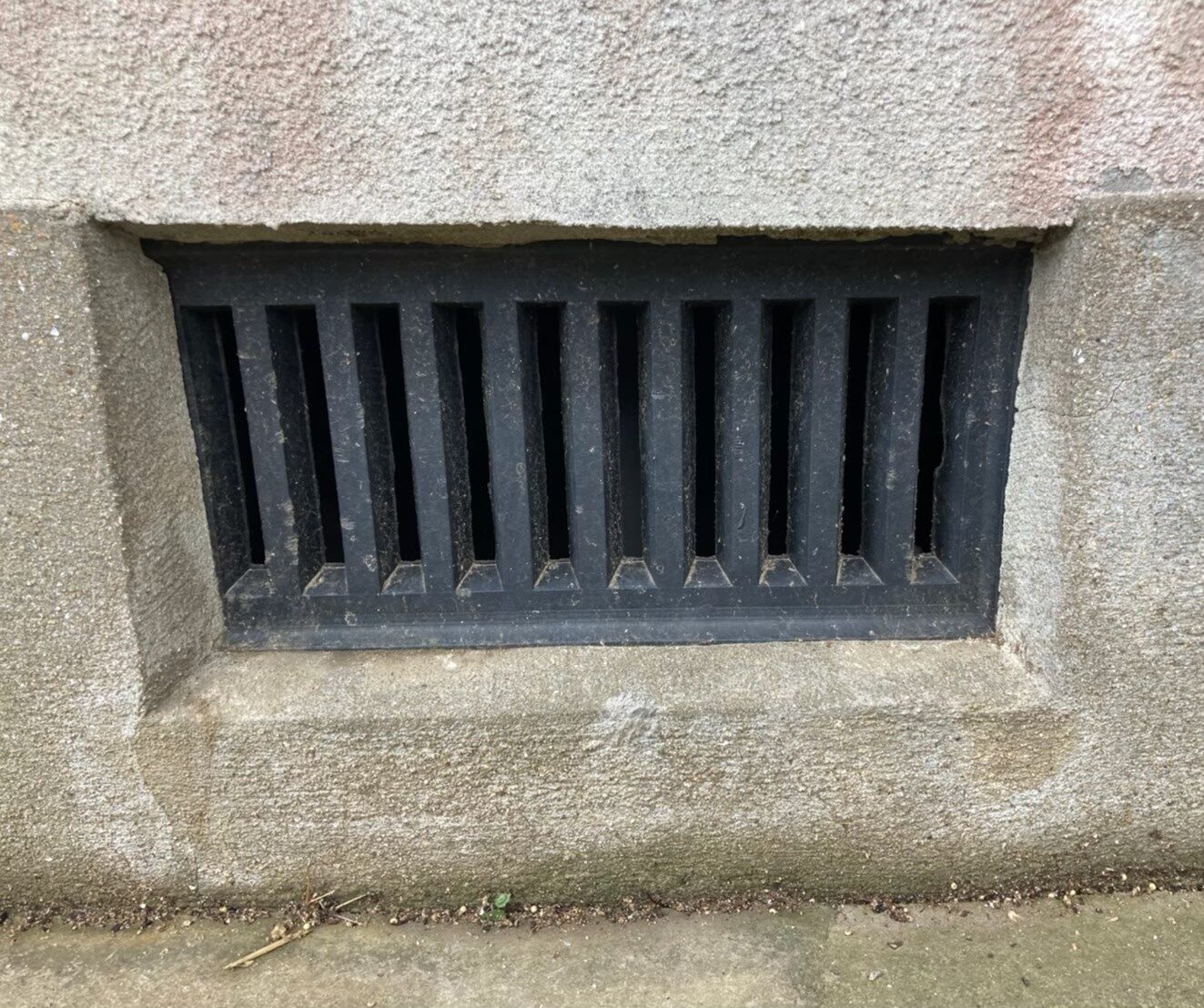 イタチによる被害　Y様邸　駆除実績