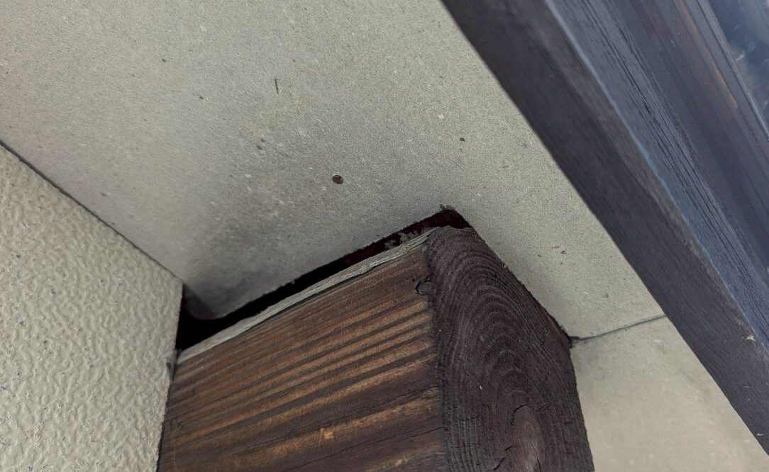 佐賀県伊万里市　イタチによる被害　T様邸　駆除実績