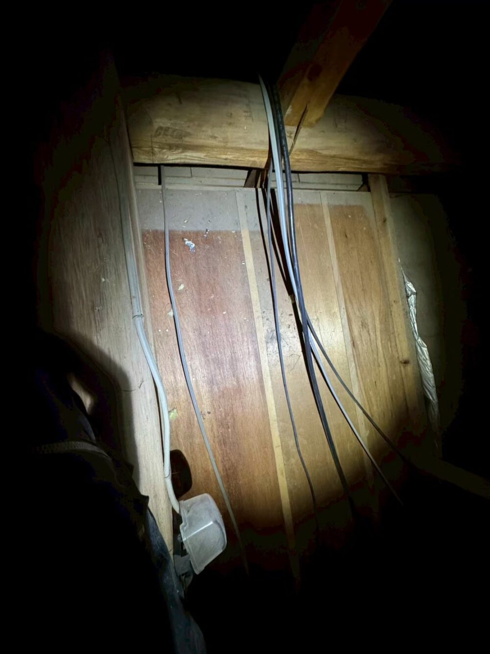 福岡県宗像市　ネズミによる被害　O様邸　駆除実績