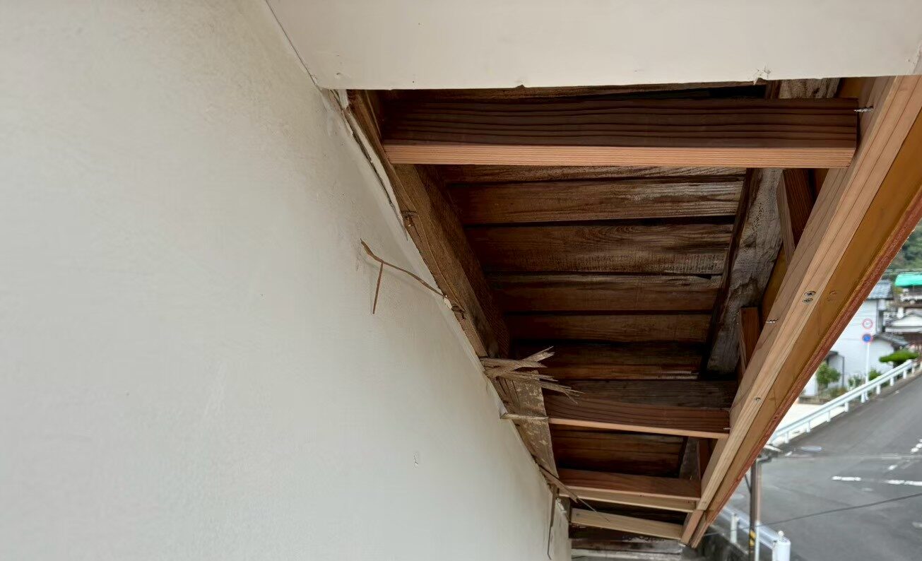 福岡県北九州市　アライグマによる被害　T様邸　駆除実績