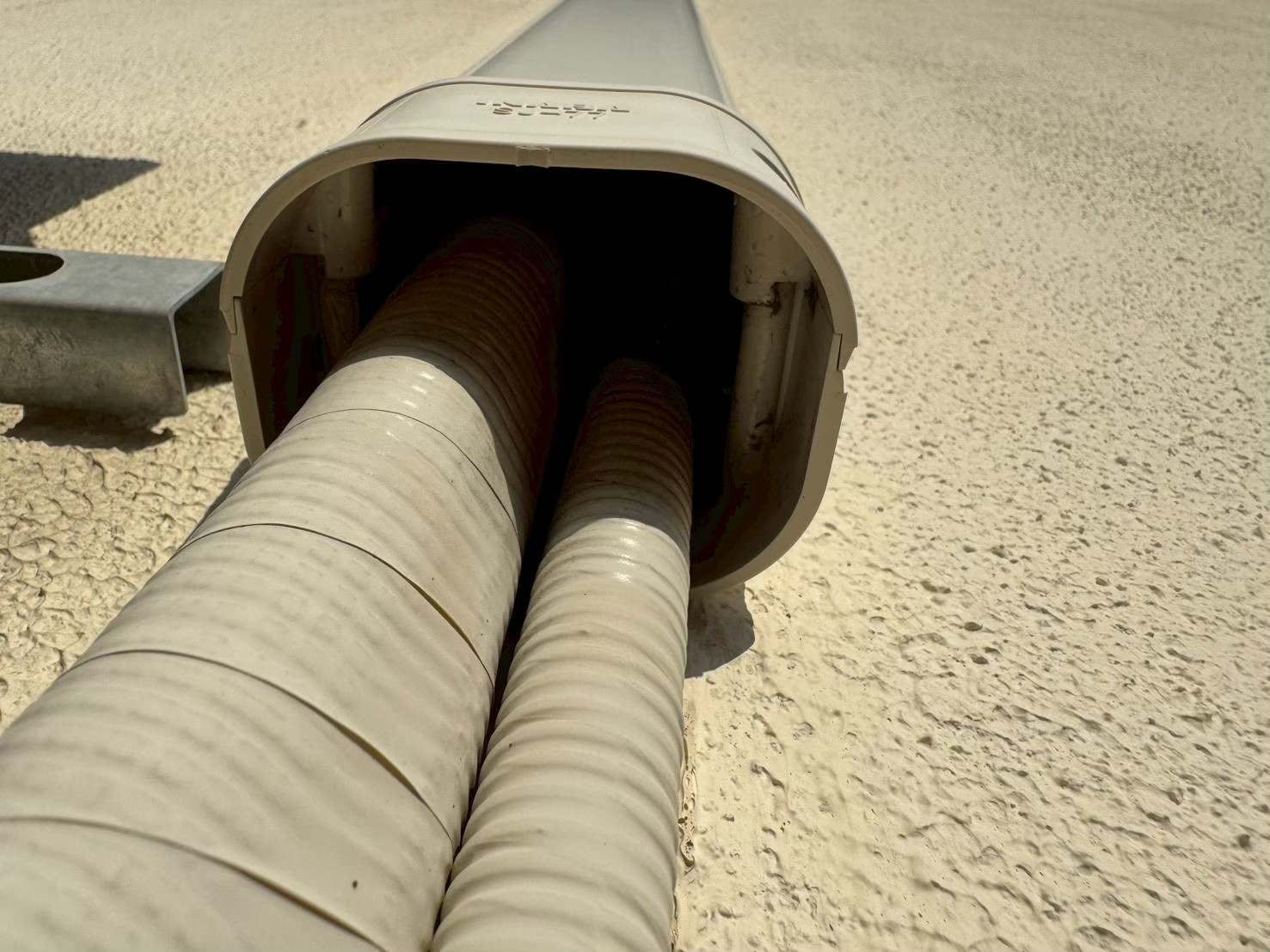 福岡県筑紫野市　イタチによる被害　Y様邸　駆除実績