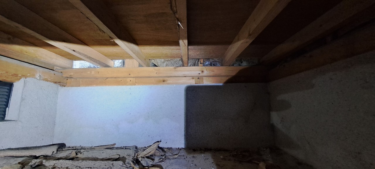 福岡県大野城市　イタチによる被害　K様邸　駆除実績