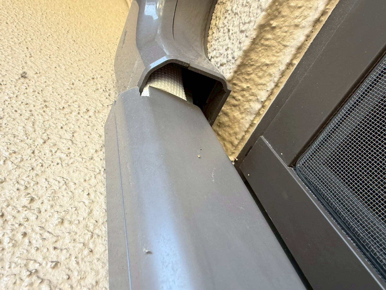 福岡県八女市　イタチによる被害　D様邸　駆除実績