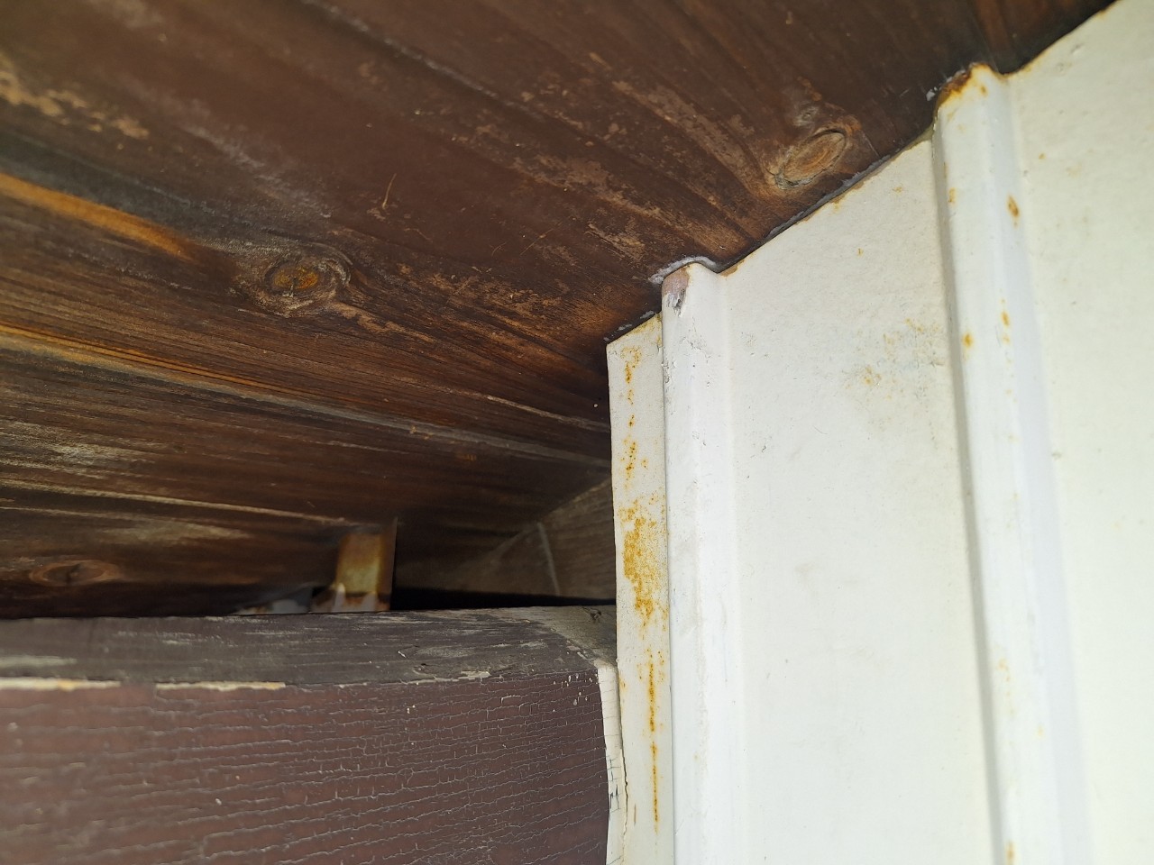 佐賀県佐賀市　イタチによる被害　Y様邸　駆除実績