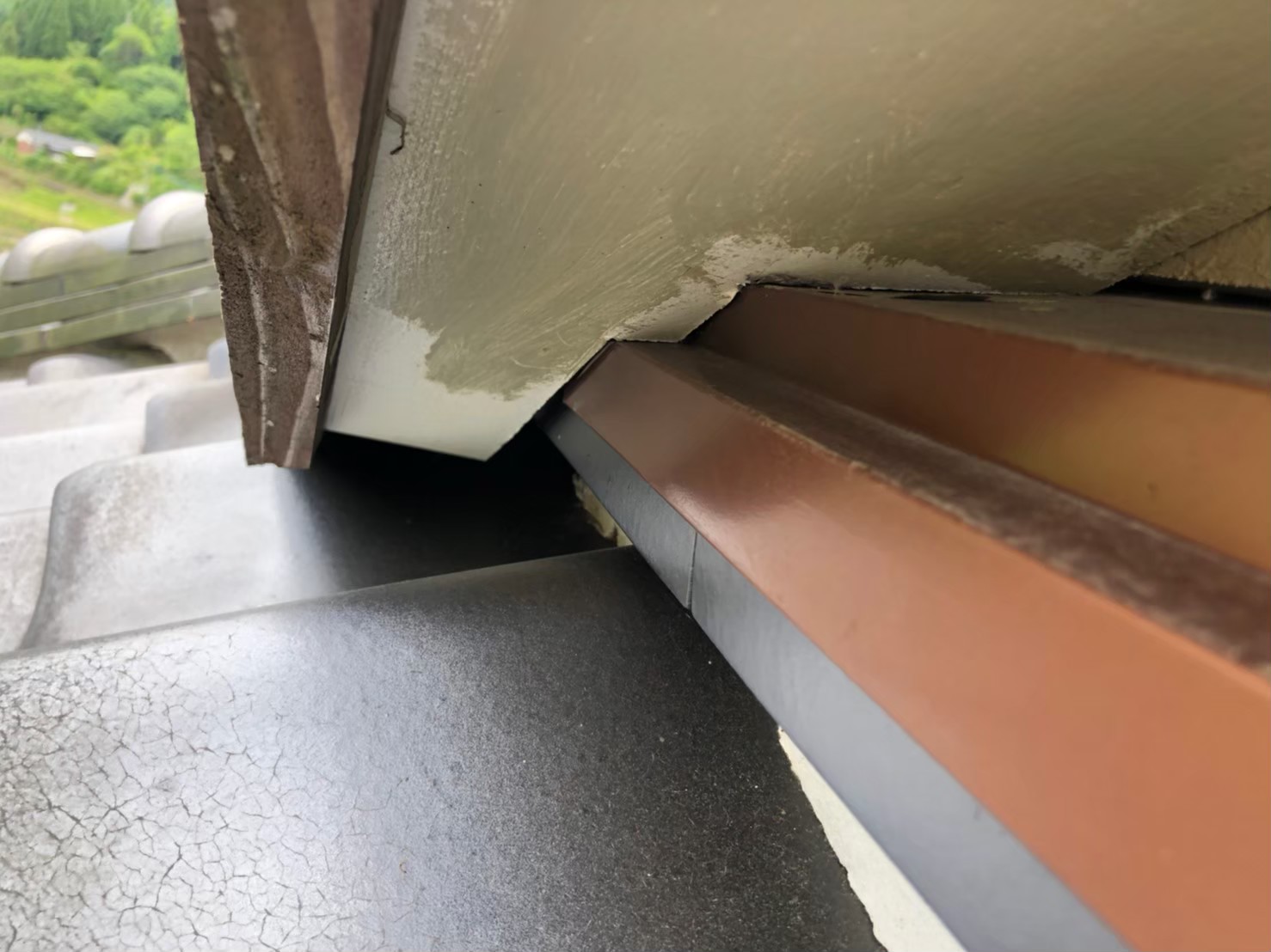 福岡県久留米市　イタチによる被害　T様邸　駆除実績