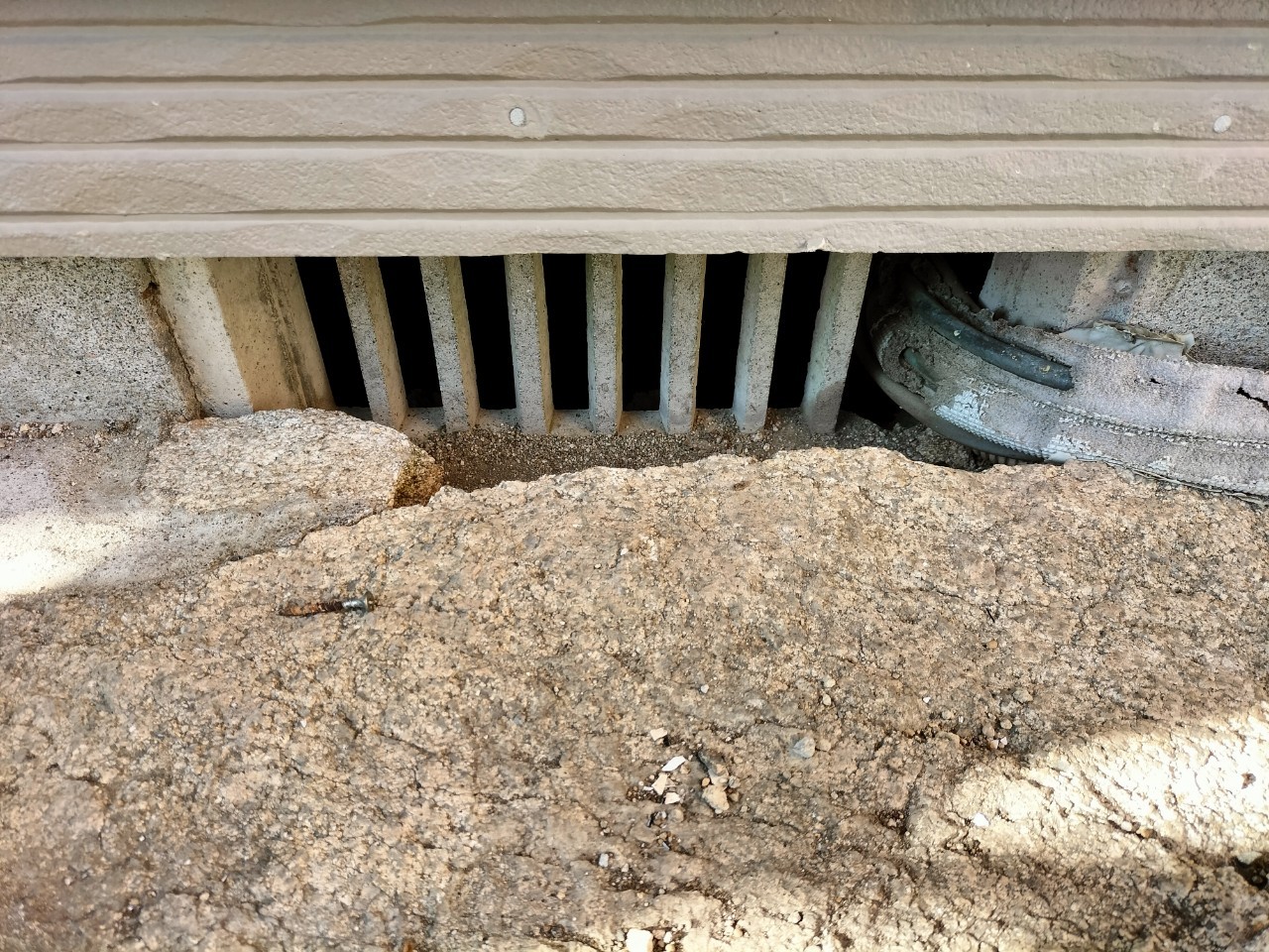 佐賀県有田町　アライグマによる被害　K様邸　駆除実績