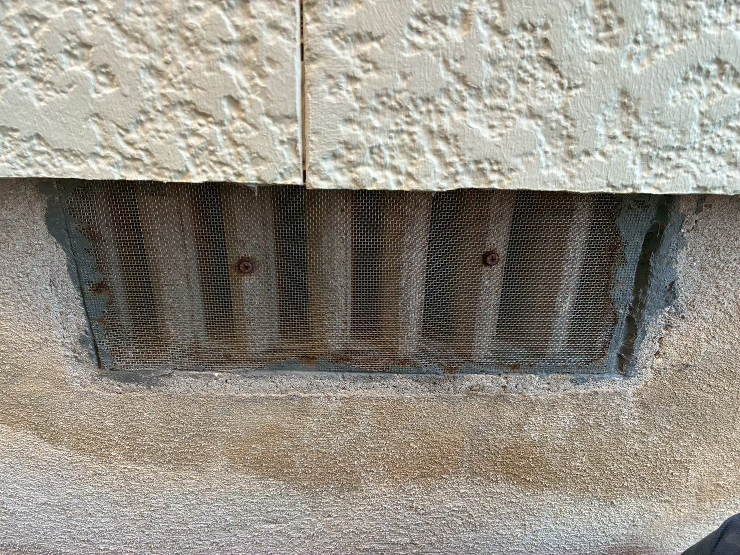 福岡県飯塚市　イタチによる被害　W様邸　駆除実績