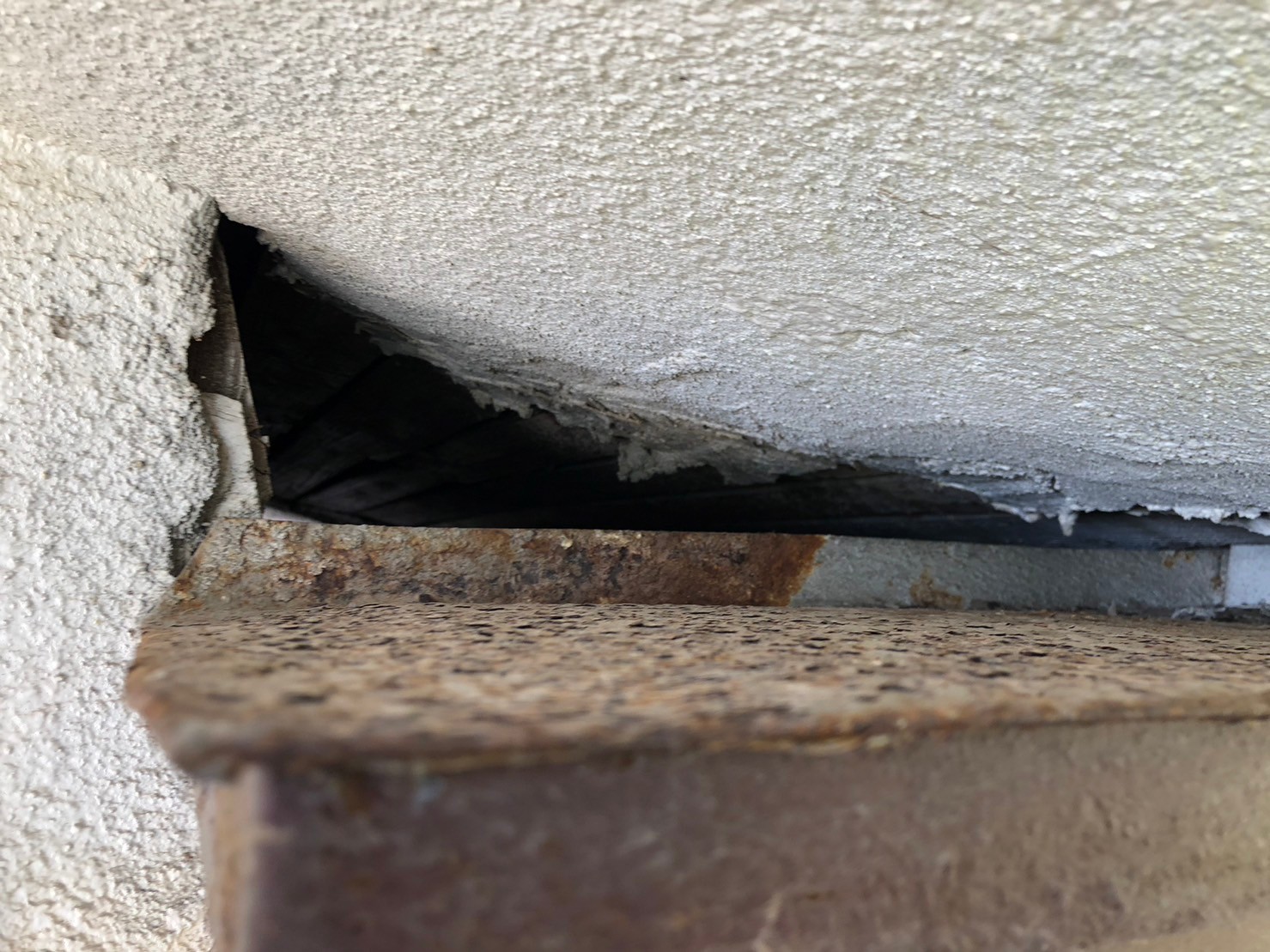 福岡県北九州市　イタチによる被害　M様邸　駆除実績