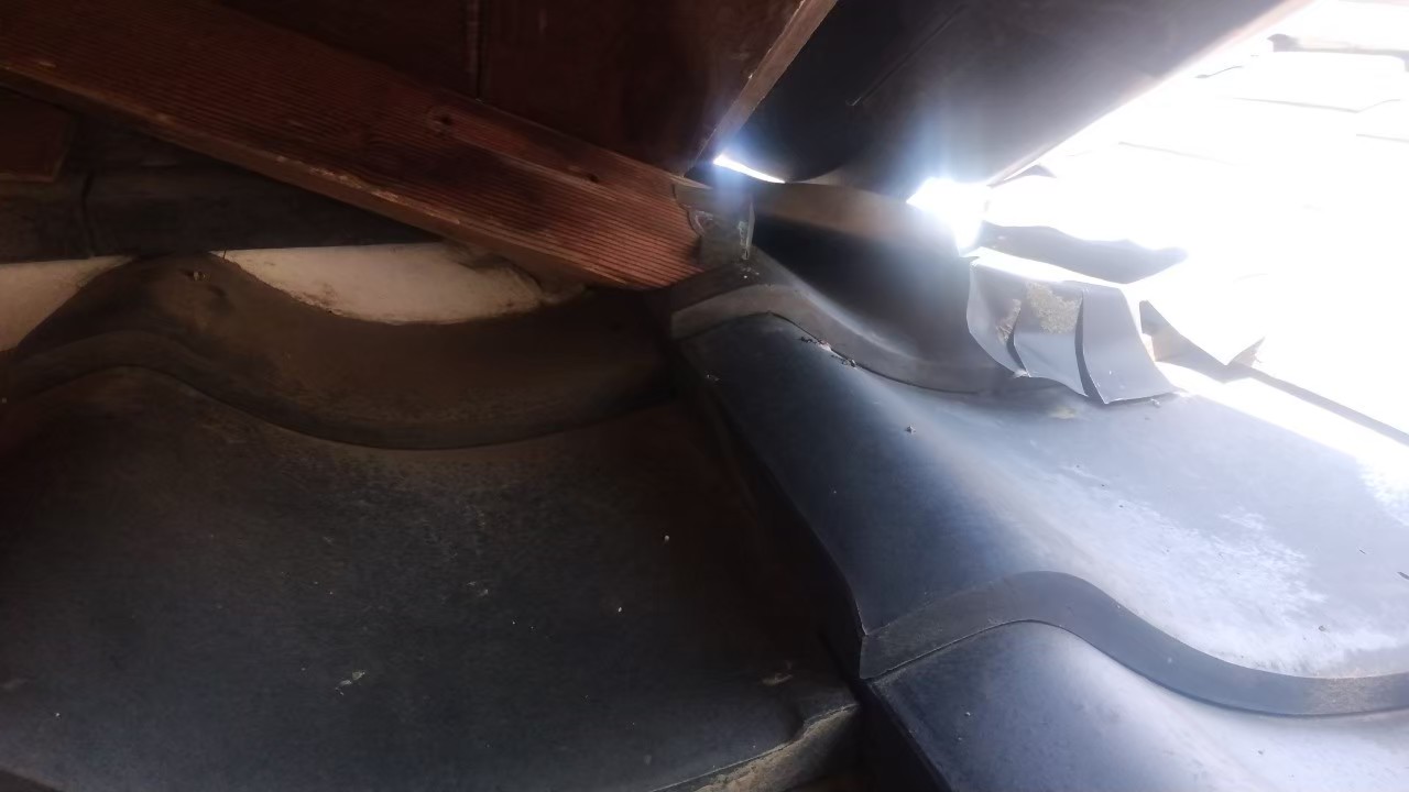 アライグマによる被害　Y様邸　駆除実績