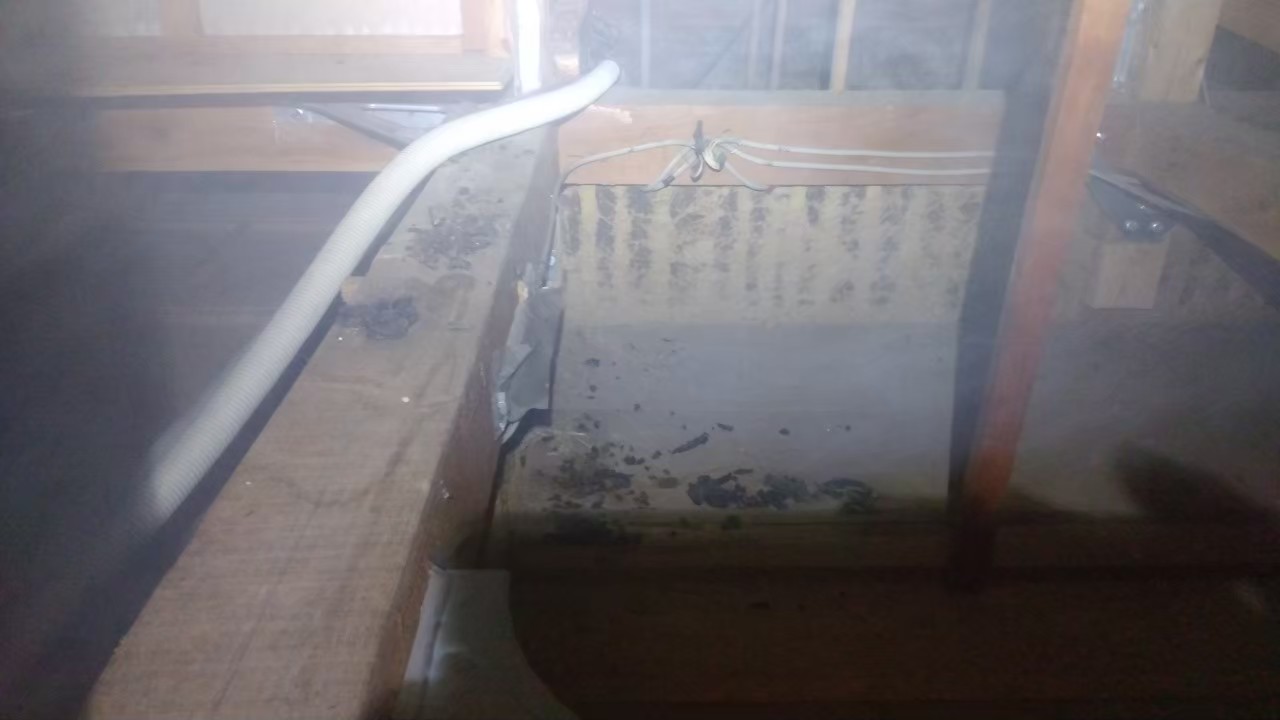 ハクビシンによる被害　K様邸　駆除実績