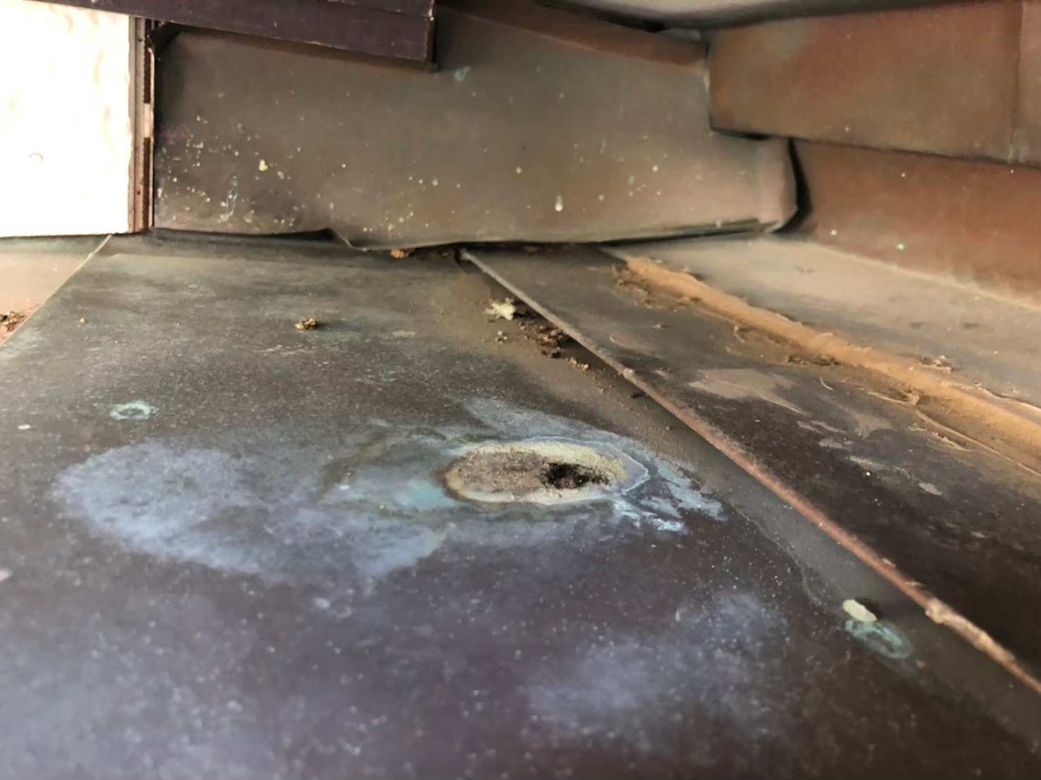 イタチによる被害　株式会社T　M様　駆除実績