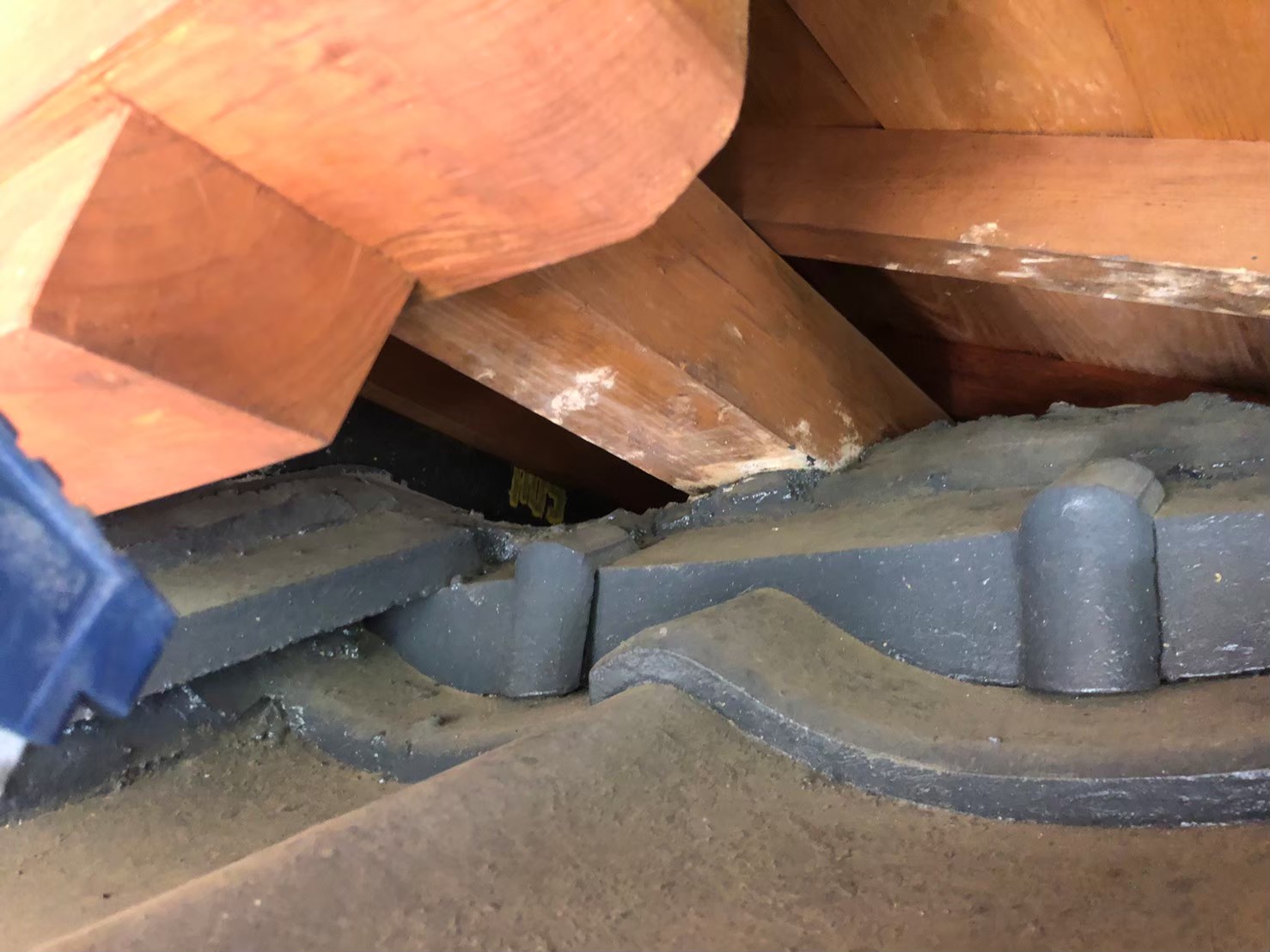 ネズミ・イタチによる被害　T様邸　駆除実績