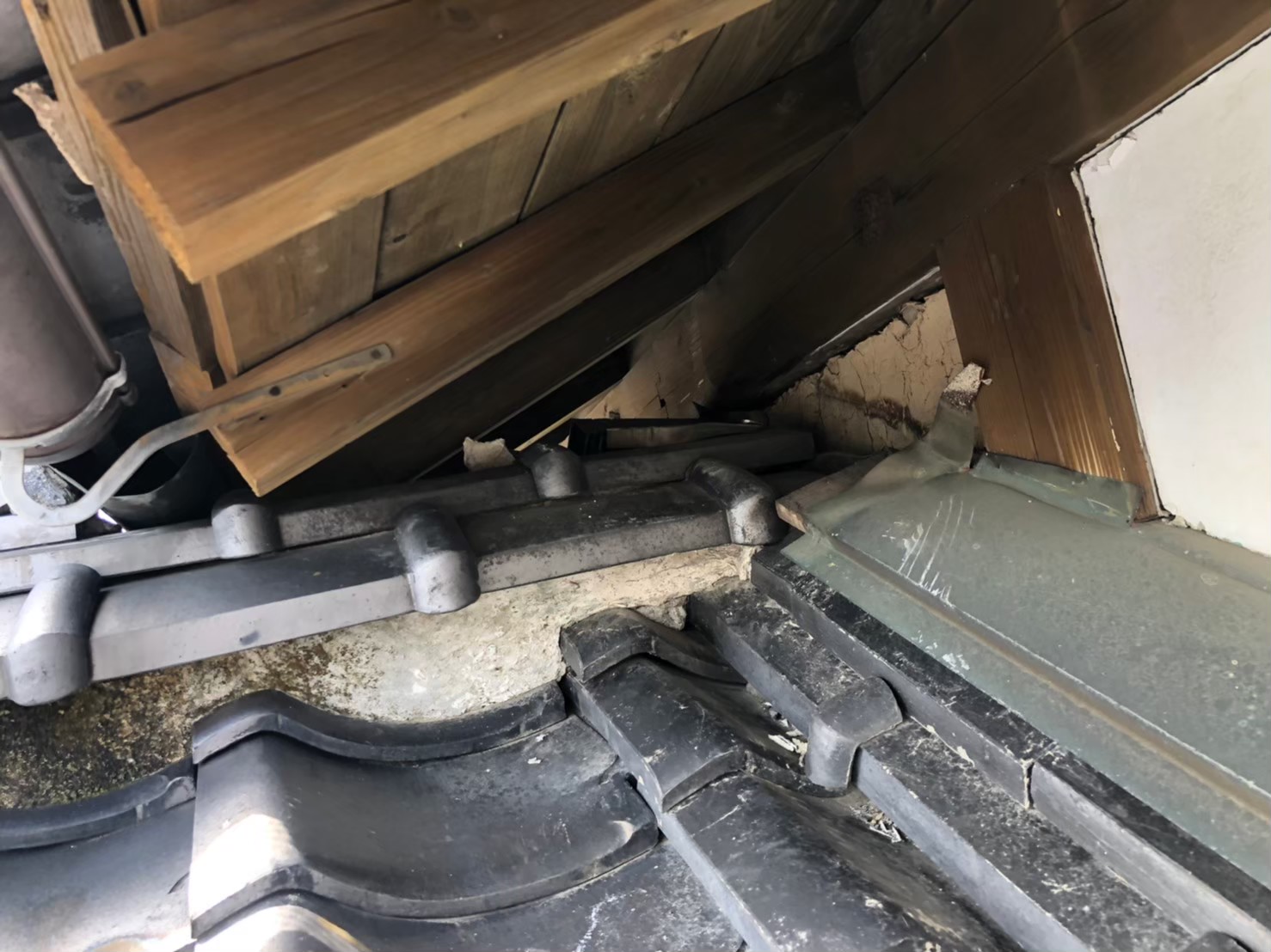 アライグマによる被害　Y様邸　駆除実績