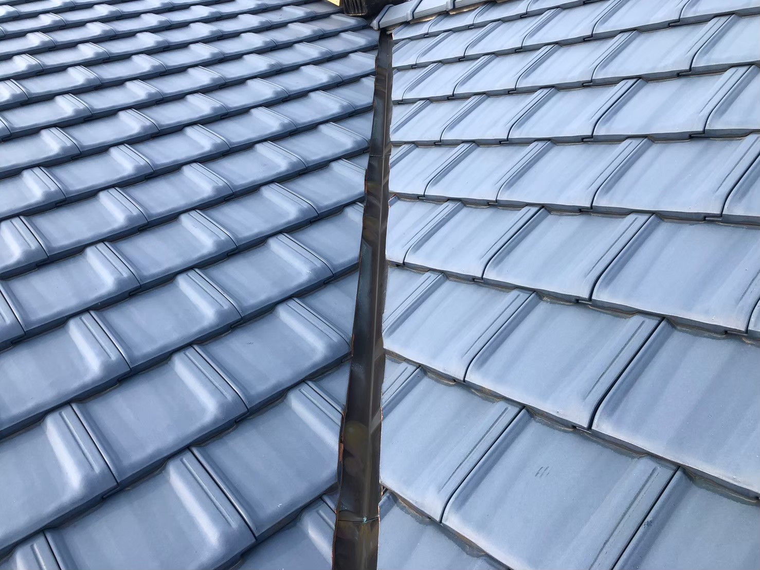 イタチによる被害　A様邸　駆除実績