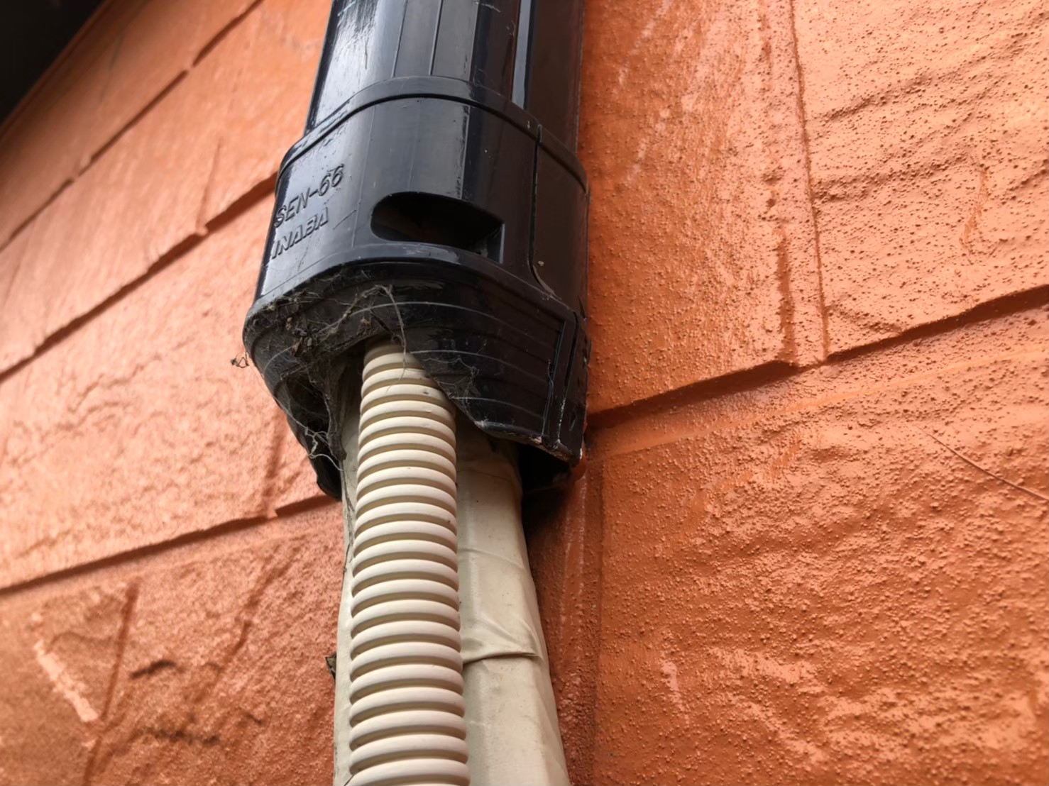 ネズミによる被害　M様邸　駆除実績