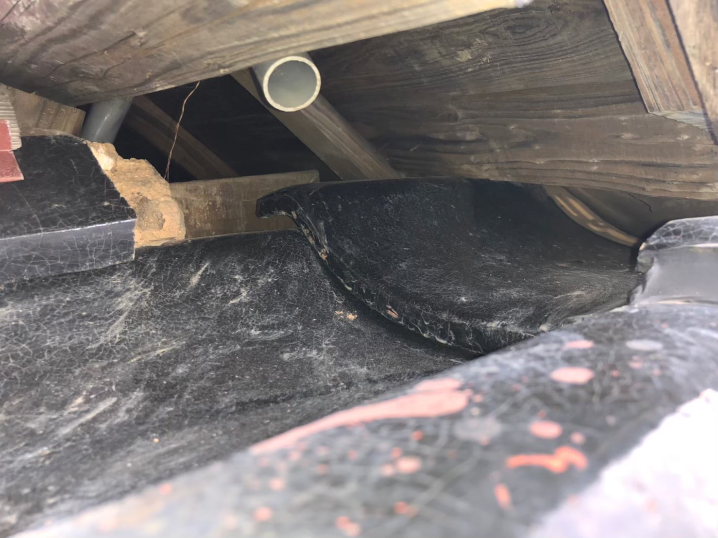 ネズミ・アライグマによる被害　S様邸　駆除実績