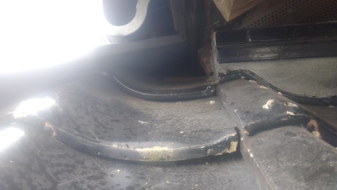 佐賀県神崎市　アライグマによる被害　株式会社T　M様　駆除実績