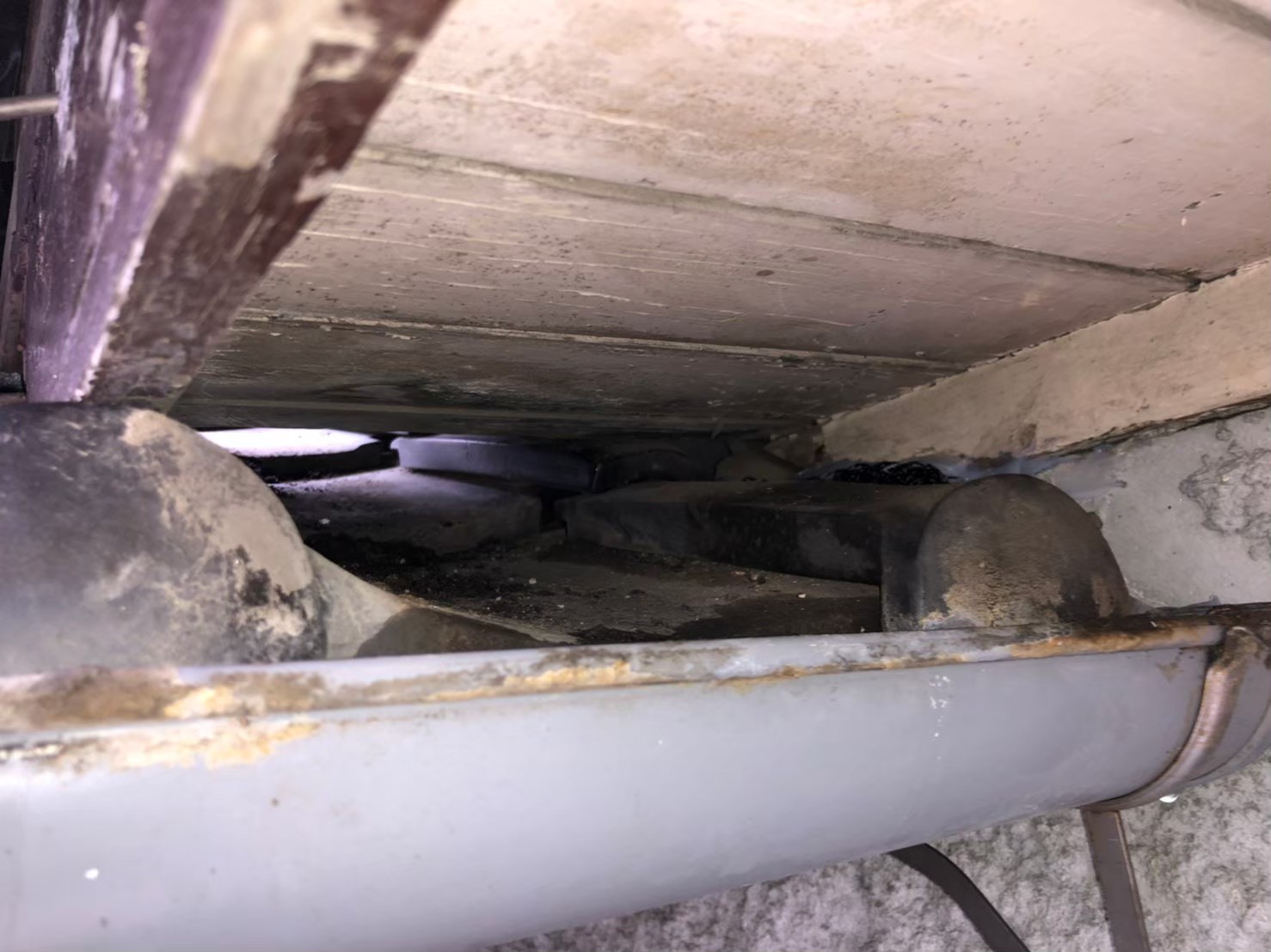 佐賀県鳥栖市　ネズミによる被害　K様邸　駆除実績