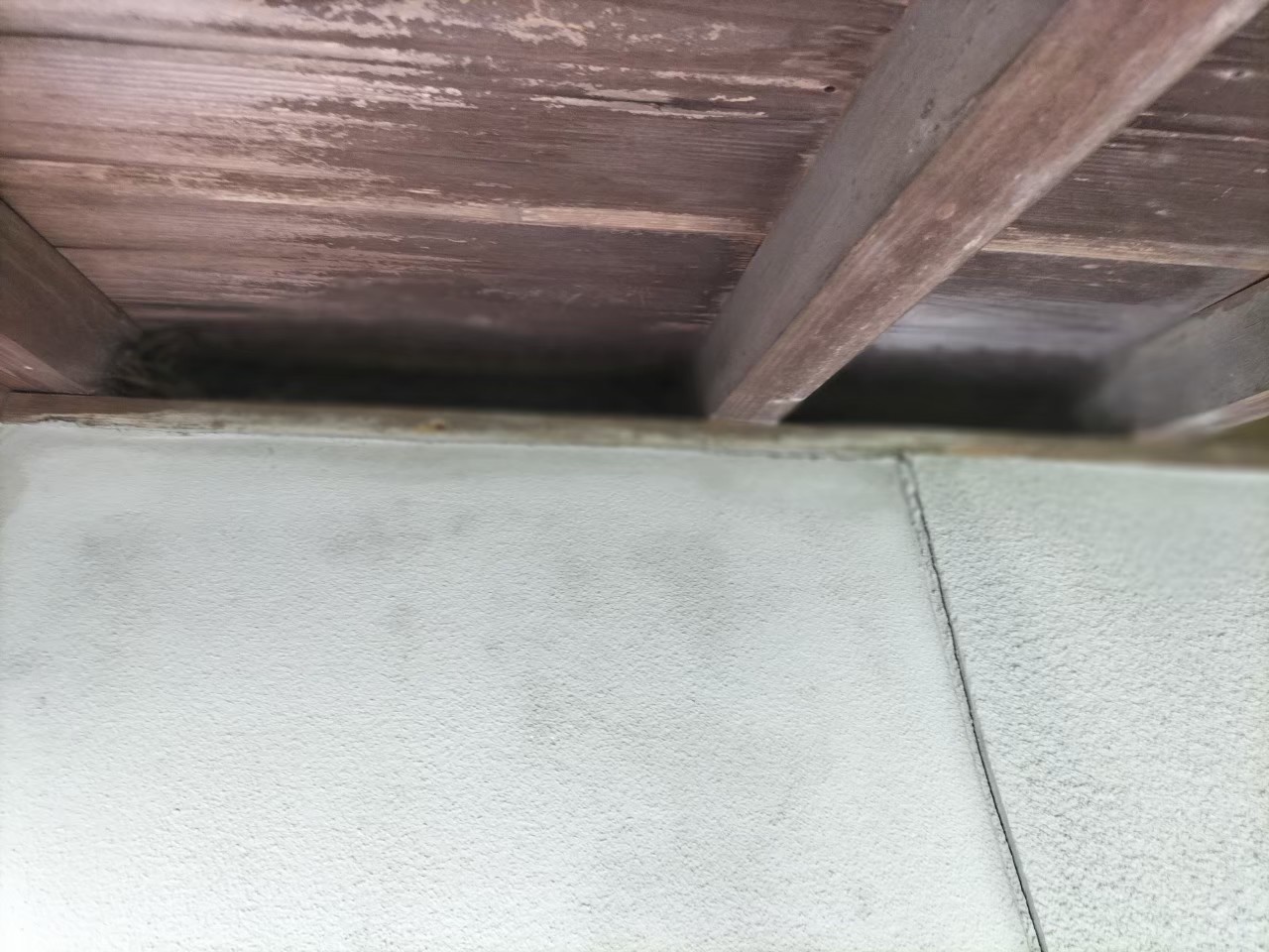 佐賀県神埼市　ネズミによる被害　H様邸　駆除実績