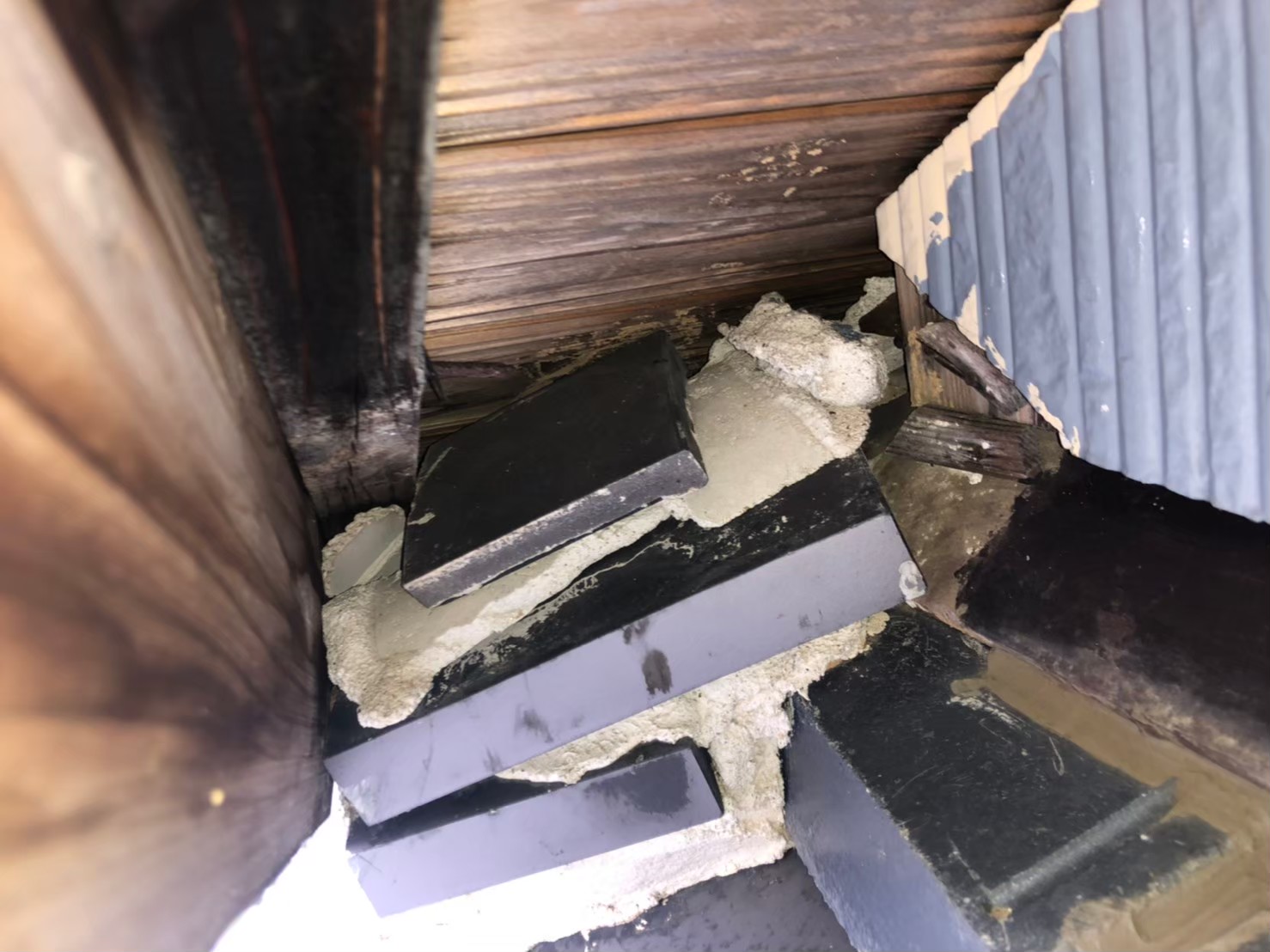 福岡県田川市　アライグマによる被害　M様邸　駆除実績