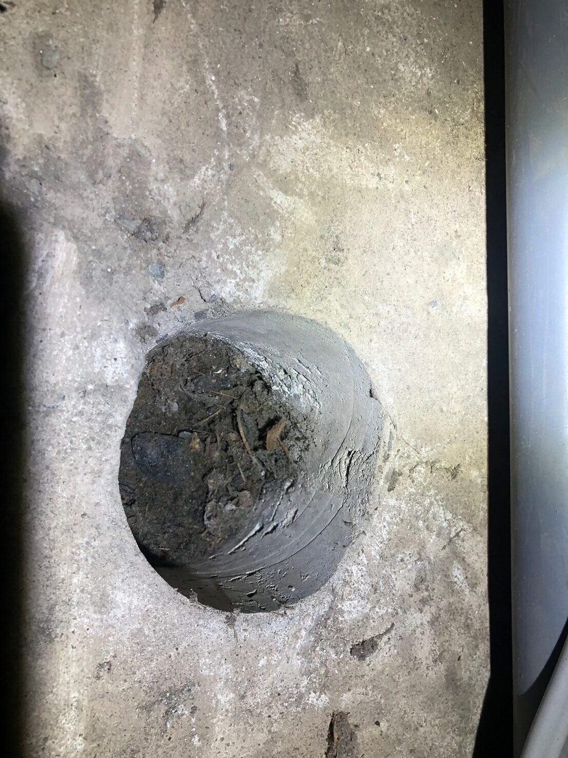 佐賀県神埼市　アライグマによる被害　G様邸　駆除実績