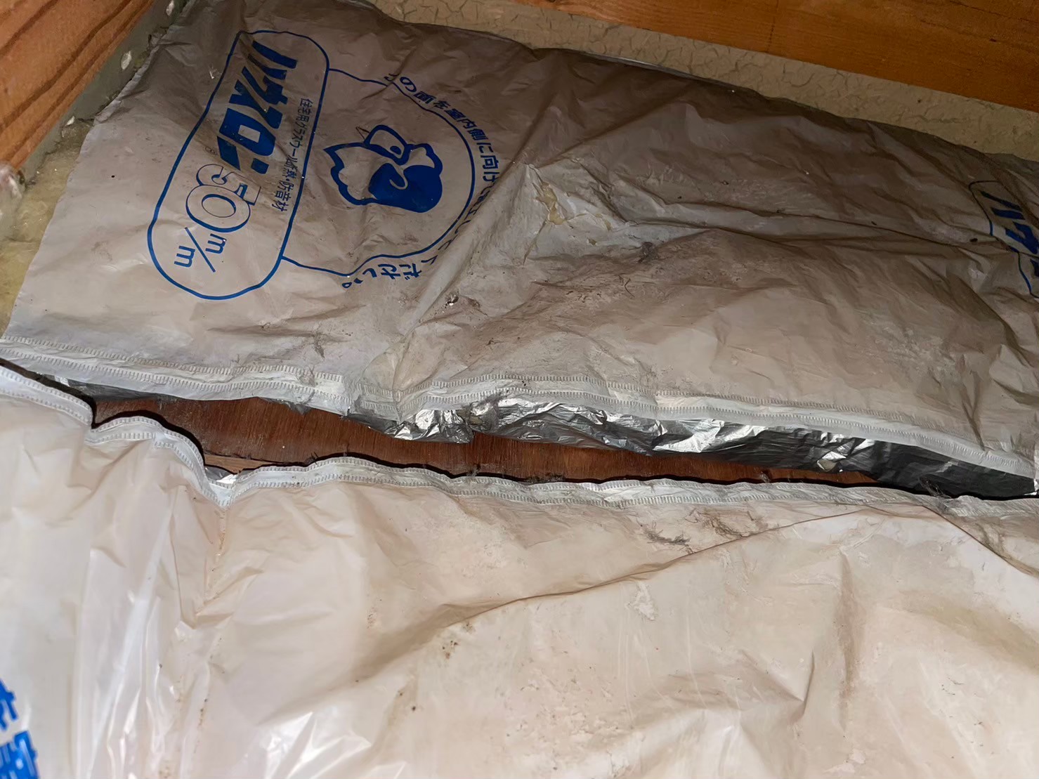 佐賀県基山町　アライグマによる被害　S様邸　駆除実績