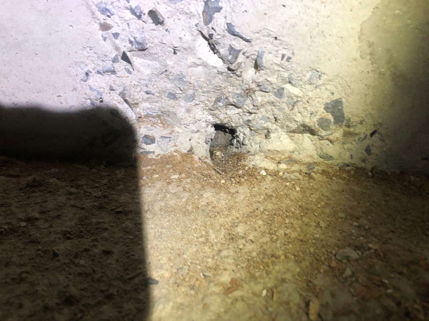 福岡県久留米市　ネズミによる被害　H様邸　駆除実績