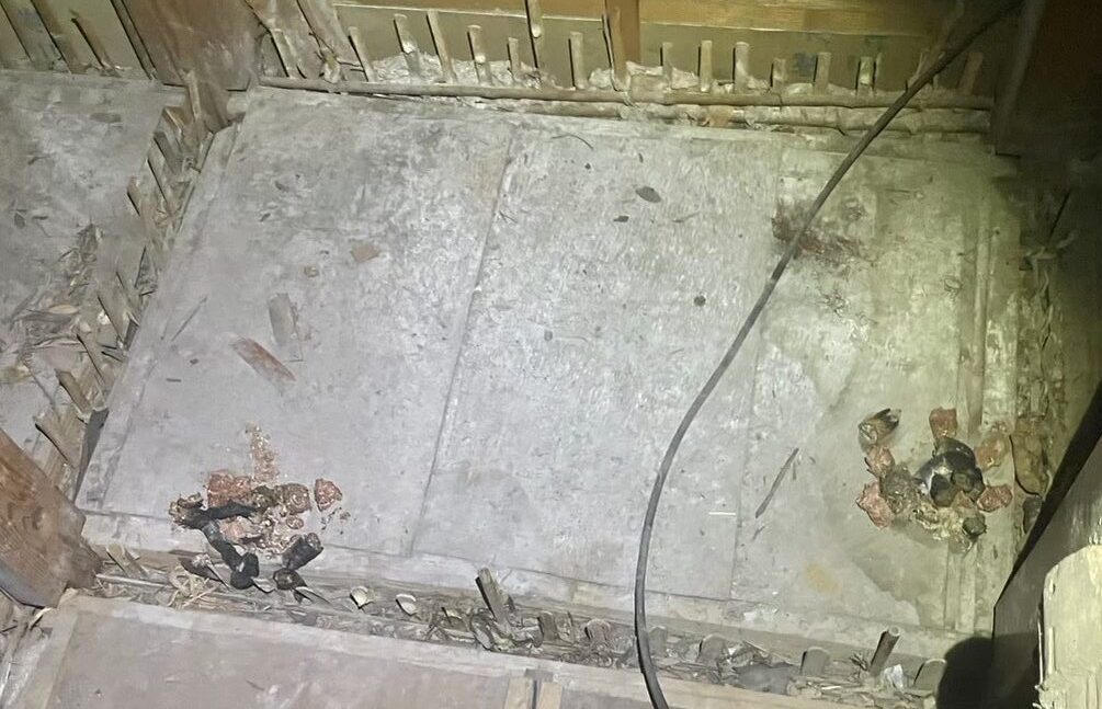 佐賀県神崎市　アライグマによる被害　M様邸　駆除実績