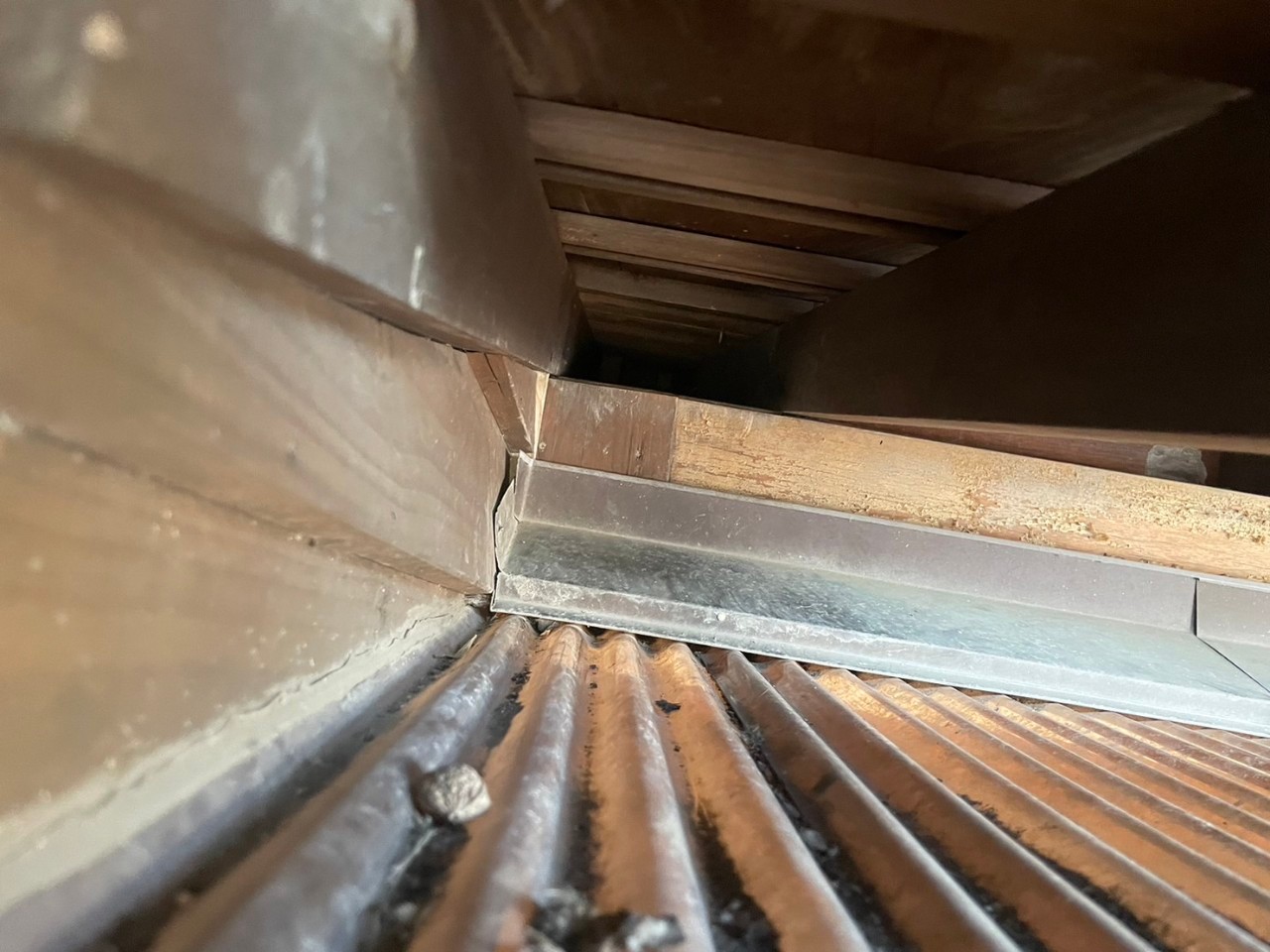 佐賀県佐賀市　アライグマによる被害　T様邸　駆除実績