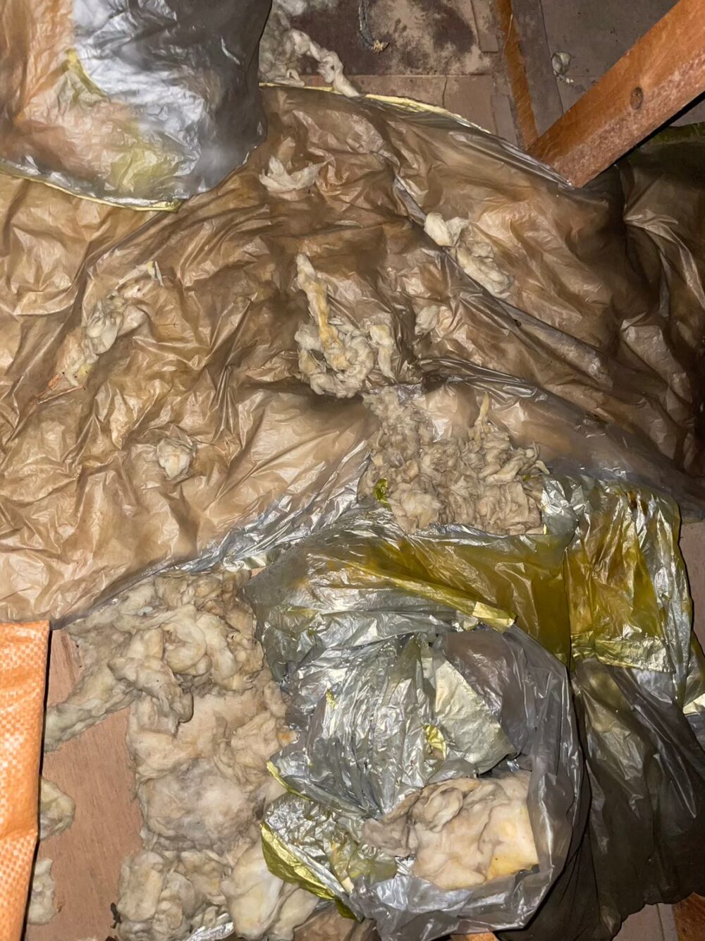 佐賀県鳥栖市　イタチによる被害　S様邸　駆除実績