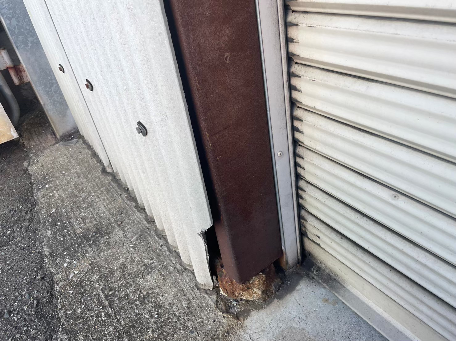 佐賀県多久市　株式会社Z Y様　イタチによる被害　駆除実績