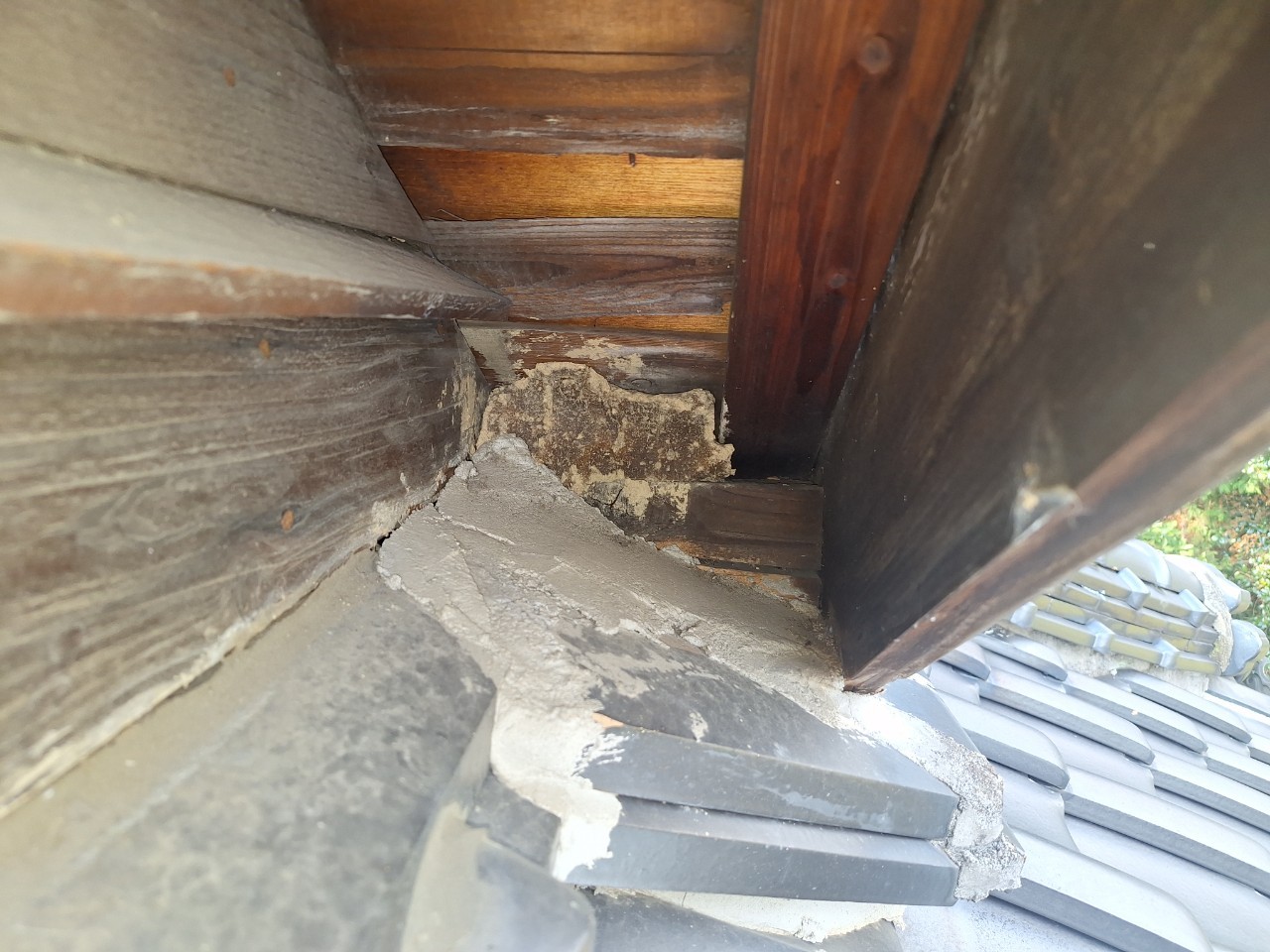 福岡県朝倉市　イタチによる被害　T様邸　駆除実績