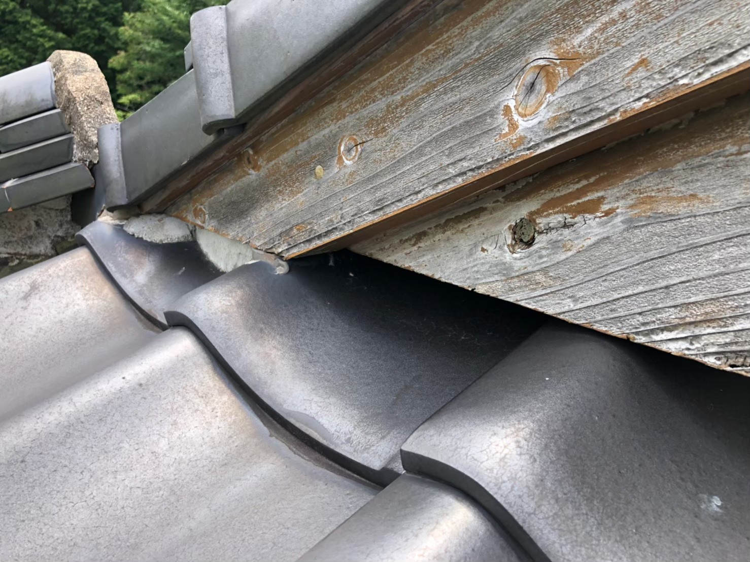 佐賀県鳥栖市　イタチによる被害　Y様邸　駆除実績