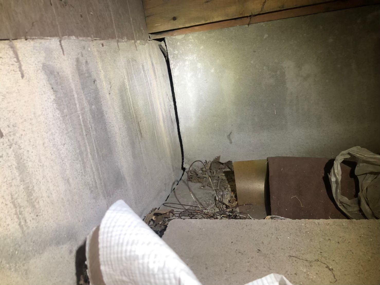 佐賀県佐賀市　ネズミによる被害　A様邸　駆除実績