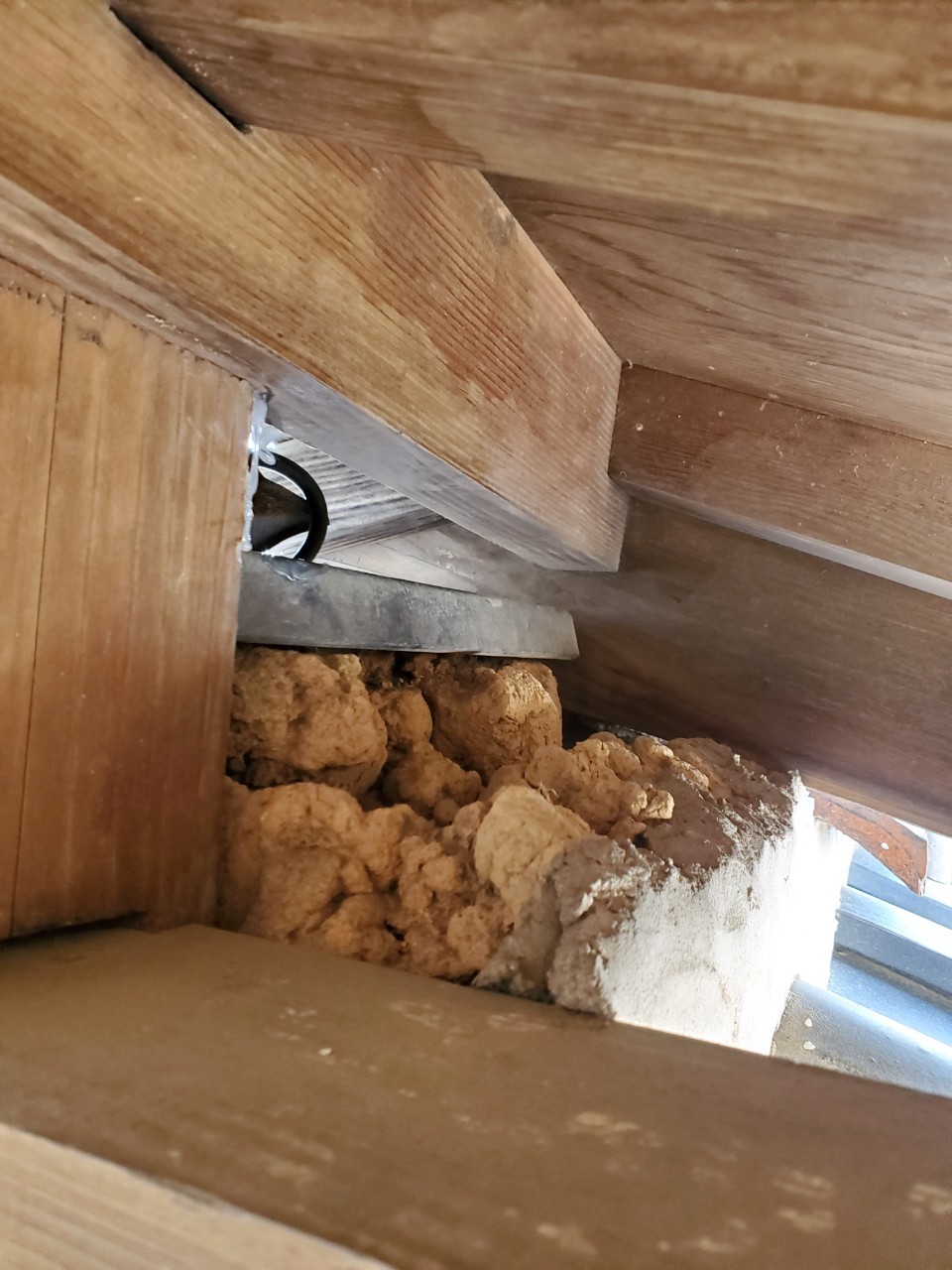 福岡県久留米市　アライグマによる被害　U様邸　駆除実績