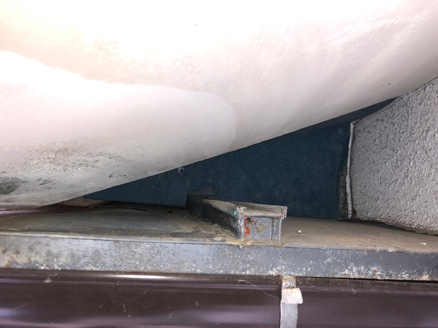 福岡県飯塚市　ネズミによる被害　O様邸　駆除実績