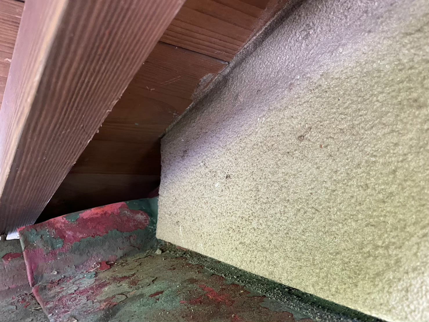 福岡県小郡市　イタチによる被害　A様邸　駆除実績