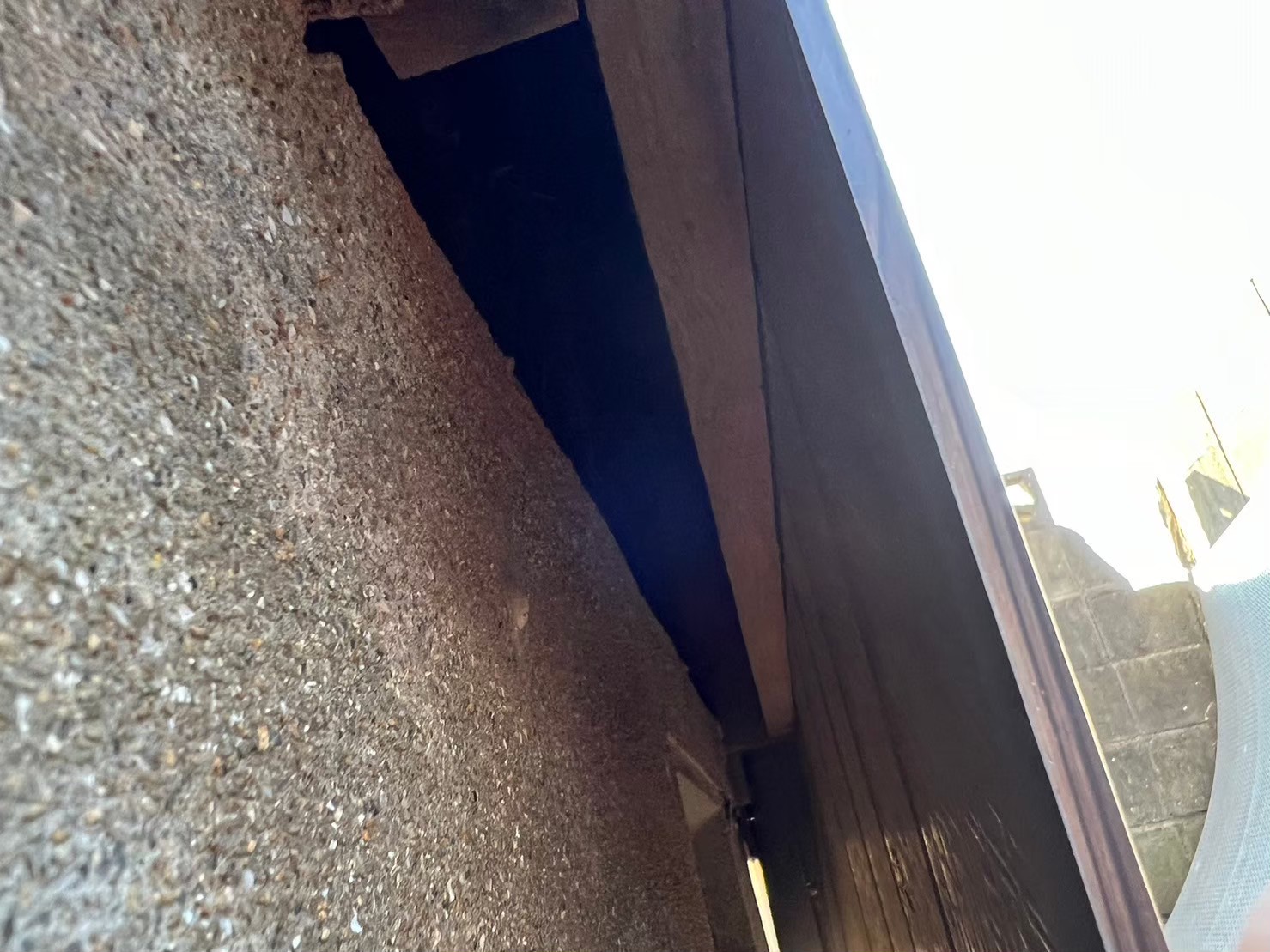 佐賀県武雄市　アライグマによる被害　H様邸　駆除実績