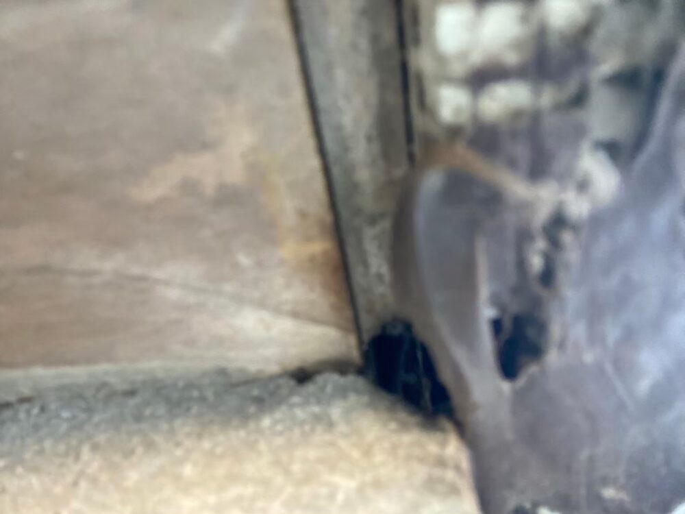 佐賀県神埼市　ネズミによる被害　Y様邸　駆除実績