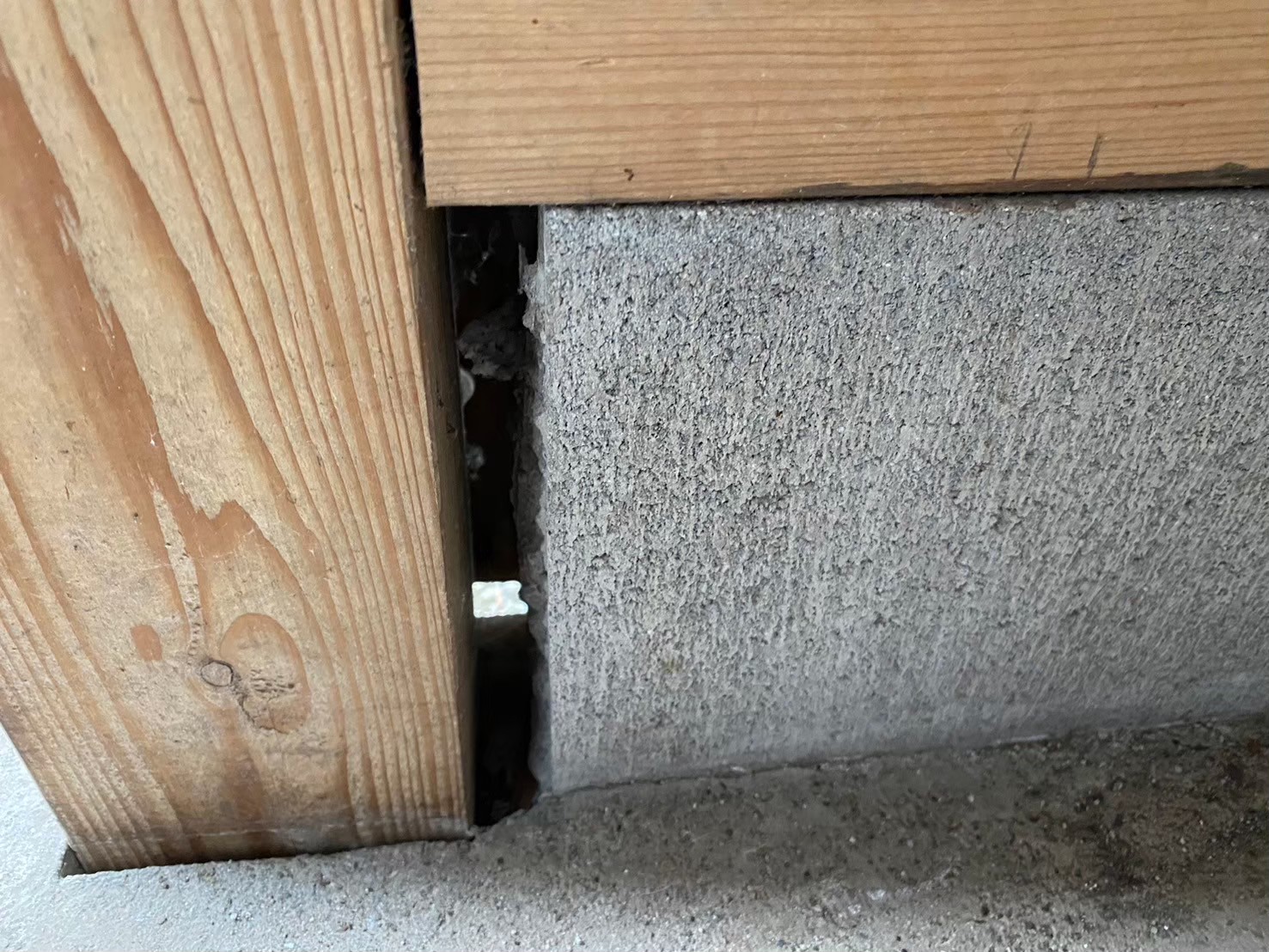 福岡県久留米市　ネズミによる被害　S様邸　駆除実績