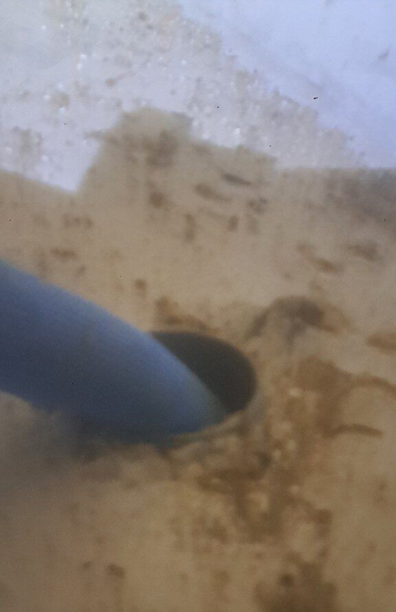 佐賀県鳥栖市　ネズミによる被害　I様邸　駆除実績