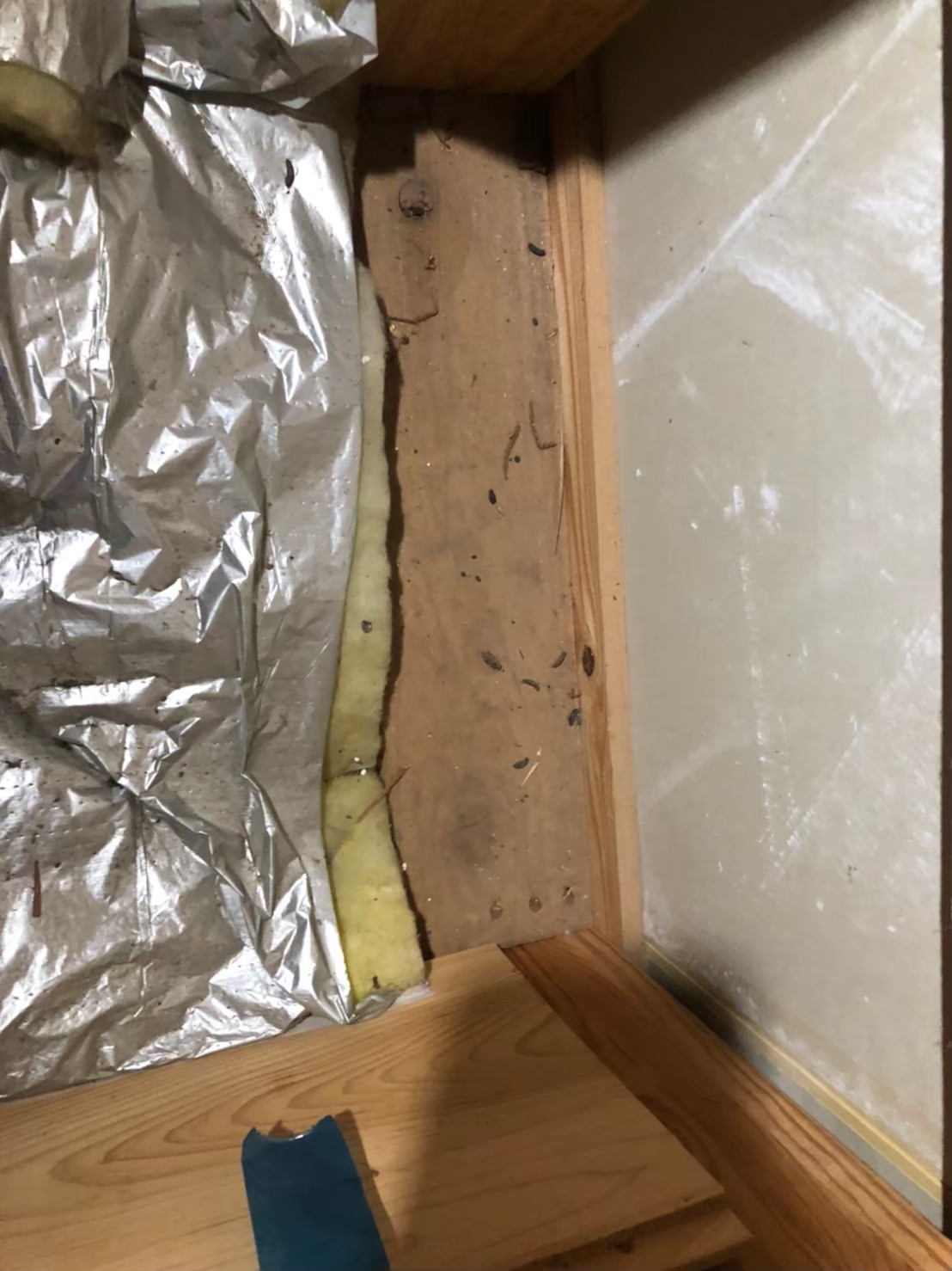 佐賀県唐津市　ネズミによる被害　Y様邸　駆除実績