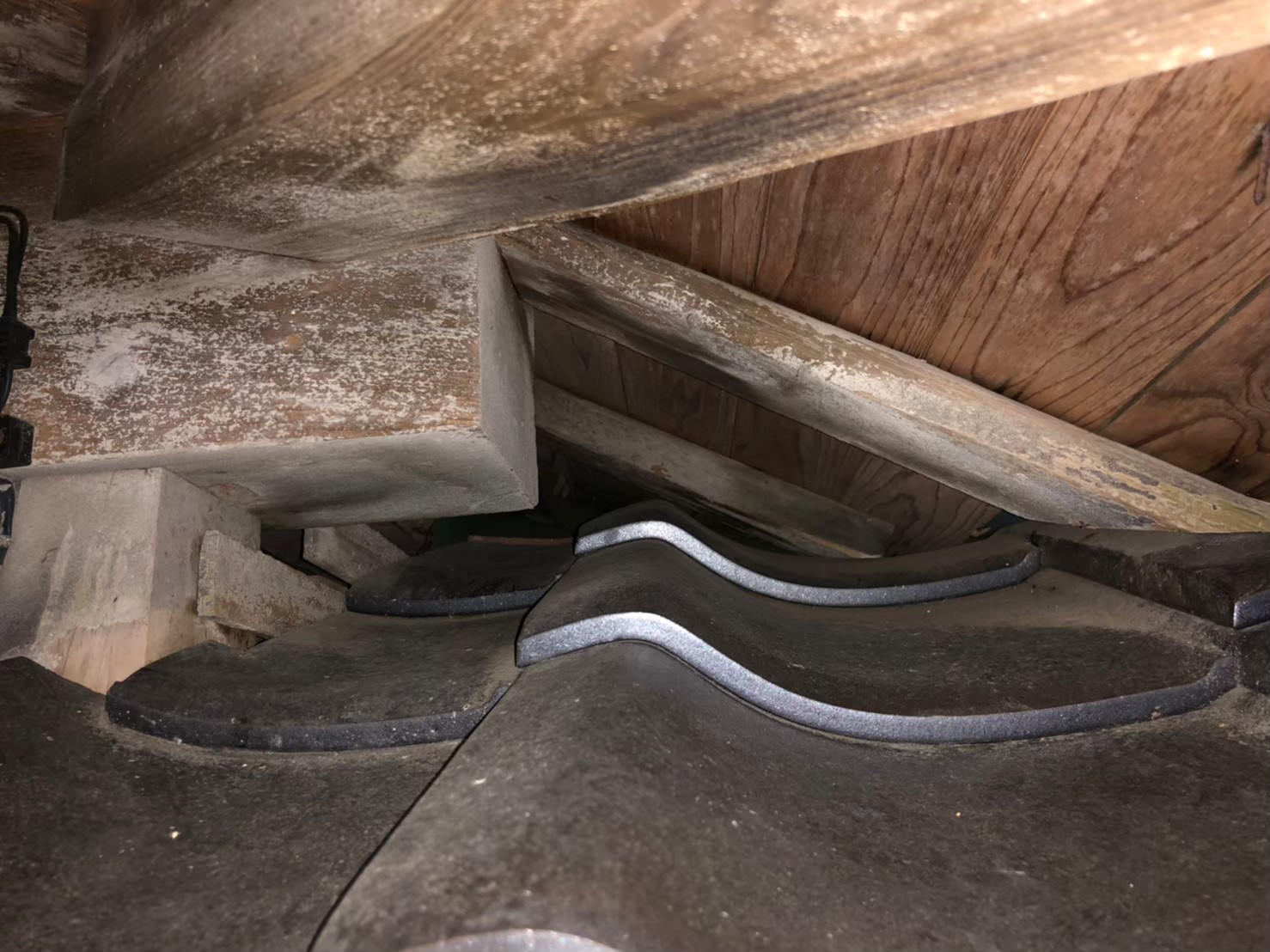 福岡県福岡市　イタチによる被害　O様邸　駆除実績