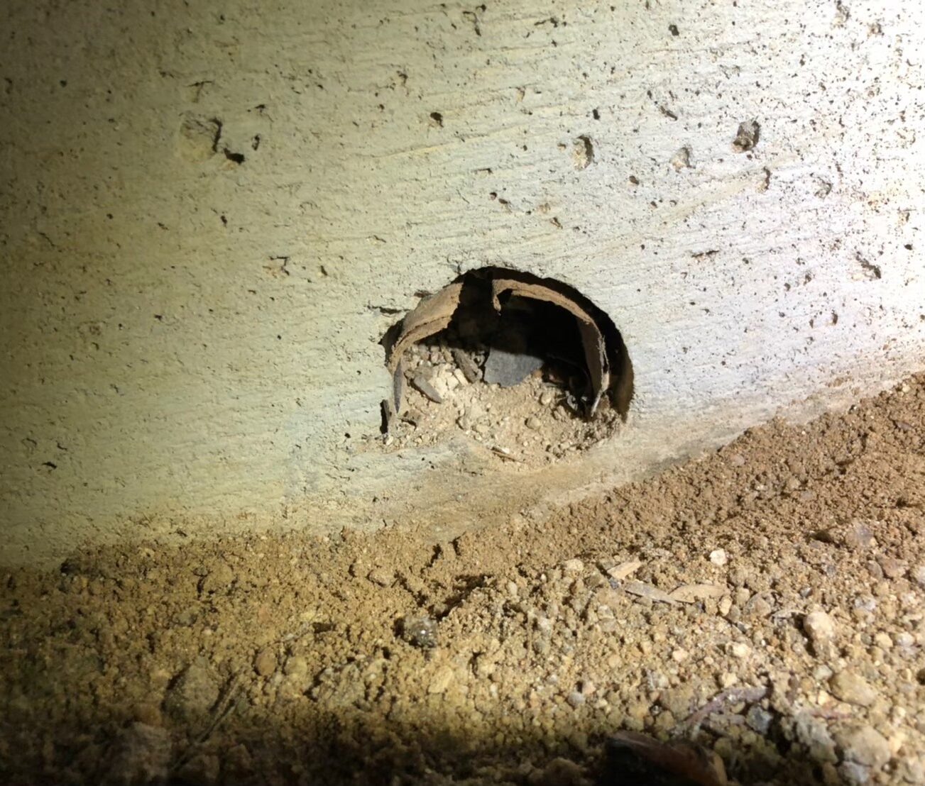 福岡県久留米市　ネズミによる被害　S様邸　駆除実績