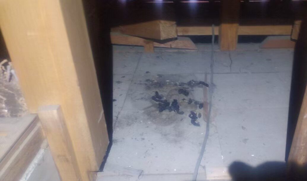 福岡県筑紫野市　イタチによる被害　T様邸　駆除実績