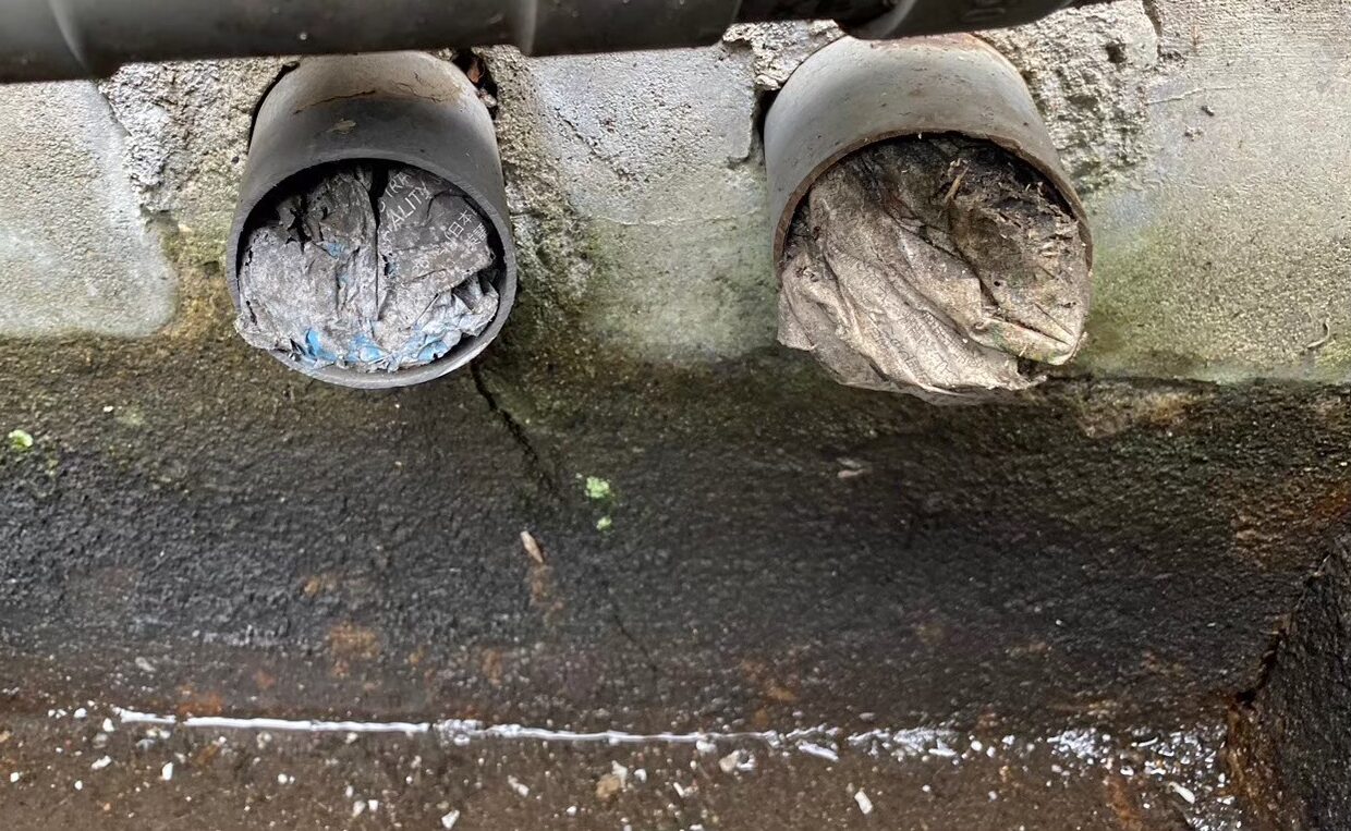 佐賀県佐賀市　ネズミによる被害　K様邸　駆除実績